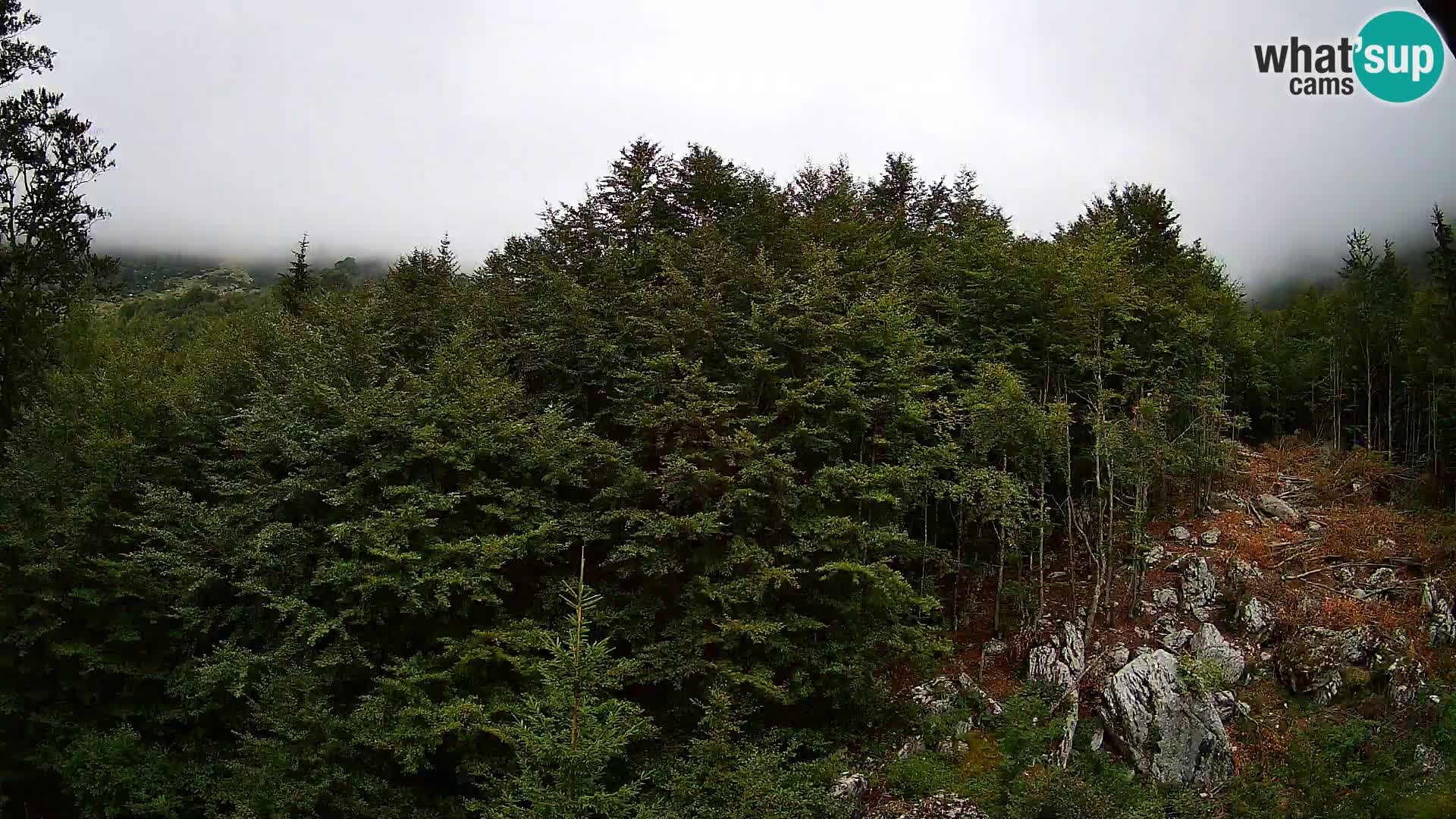 Livecam PLANINA RAZOR (1315) | vue sur Vogel et Globoko