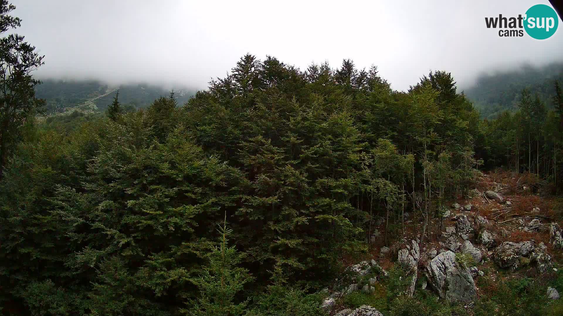 PLANINA RAZOR kamera (1315) | pogled na Vogel in Globoko