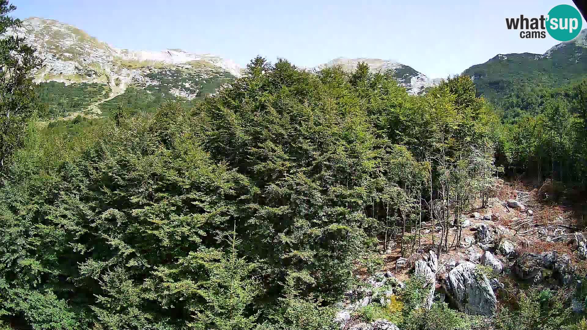 Webcam PLANINA RAZOR (1315) | Blick auf Vogel und Globoko