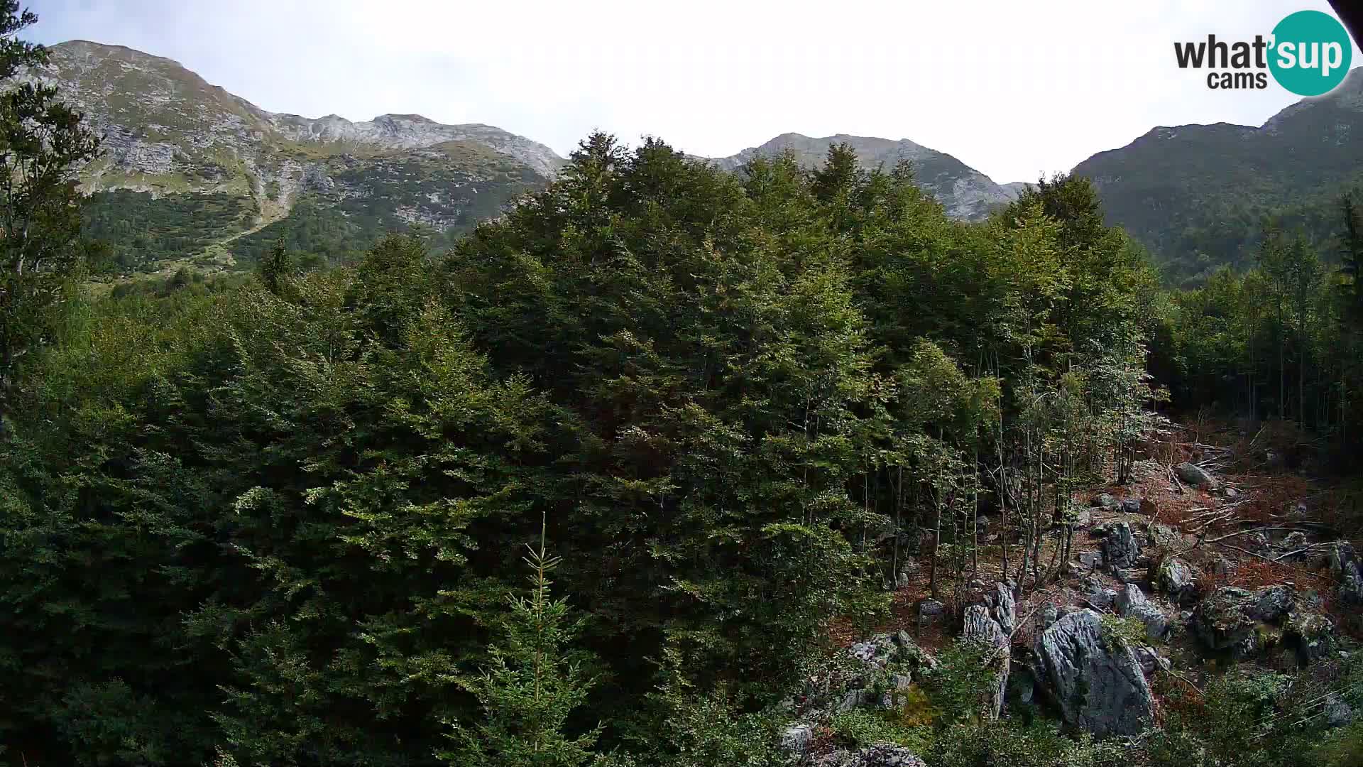 PLANINA RAZOR Live Cam (1315) | vista su Vogel e Globoko