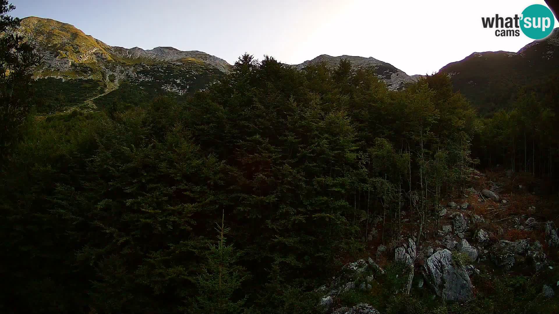 Webcam PLANINA RAZOR (1315) | Blick auf Vogel und Globoko