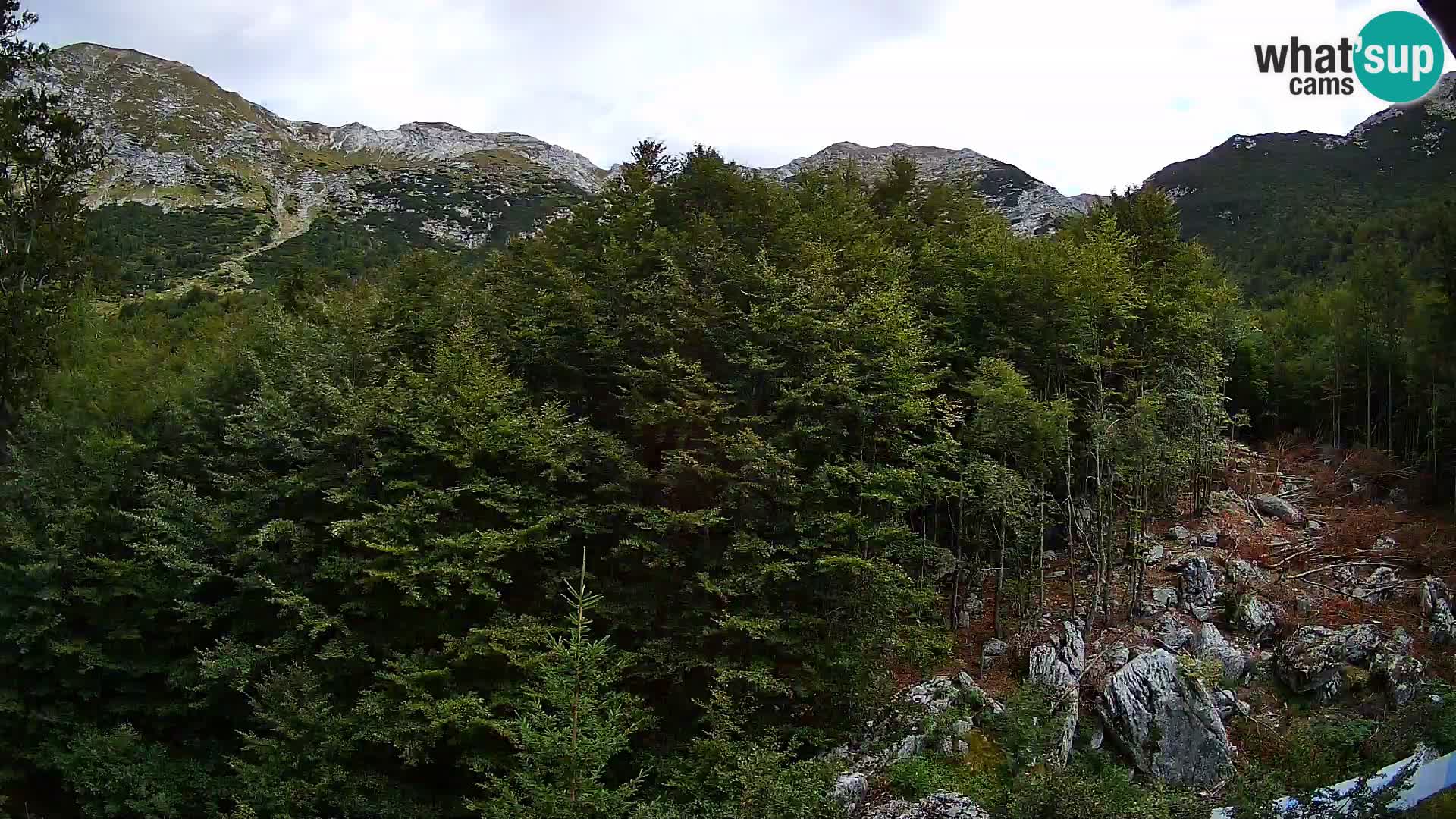 PLANINA RAZOR Live Cam (1315) | vista su Vogel e Globoko