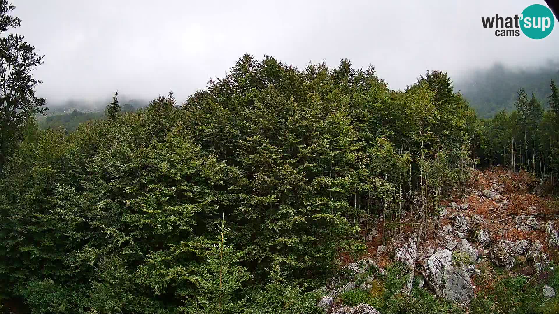 PLANINA RAZOR Live Cam (1315) | vista su Vogel e Globoko
