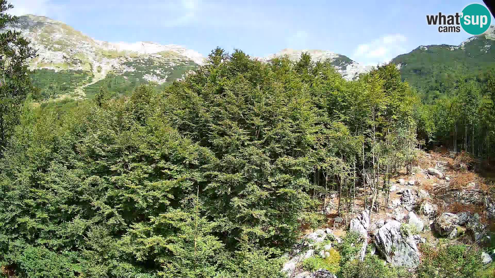 PLANINA RAZOR Live Cam (1315) | vista su Vogel e Globoko