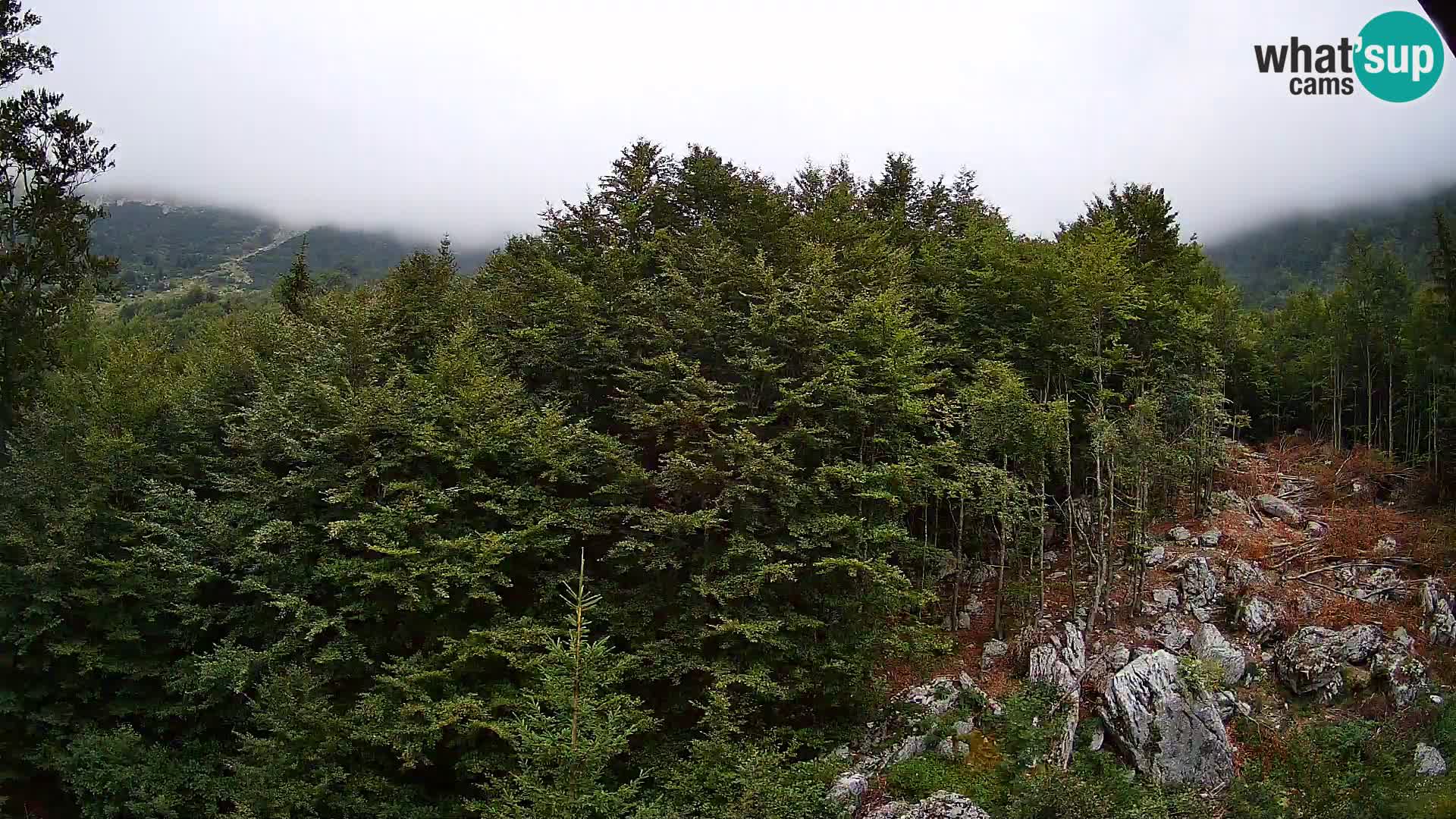 PLANINA RAZOR Live Cam (1315) | vista su Vogel e Globoko