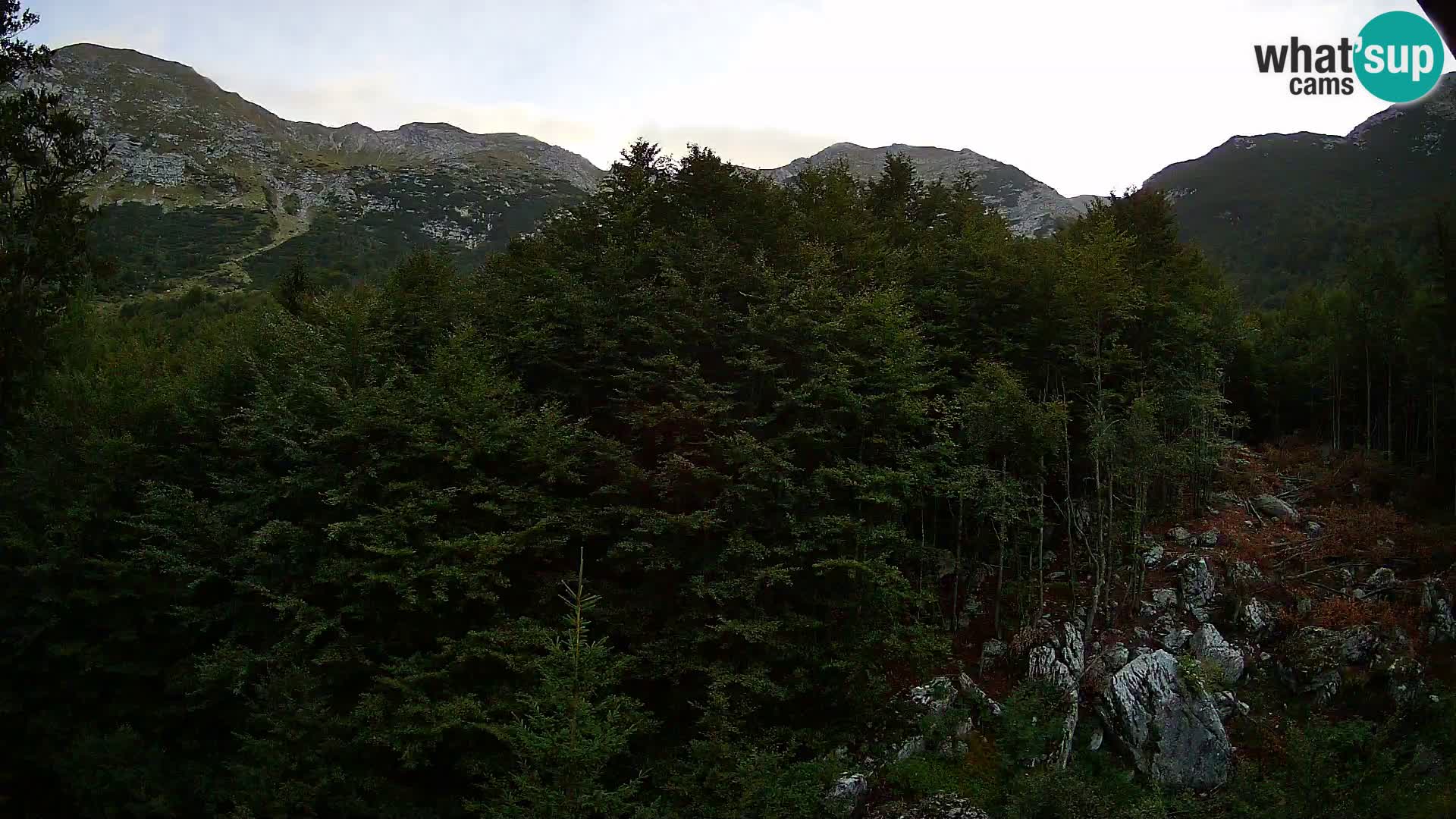PLANINA RAZOR kamera (1315) | pogled na Vogel in Globoko