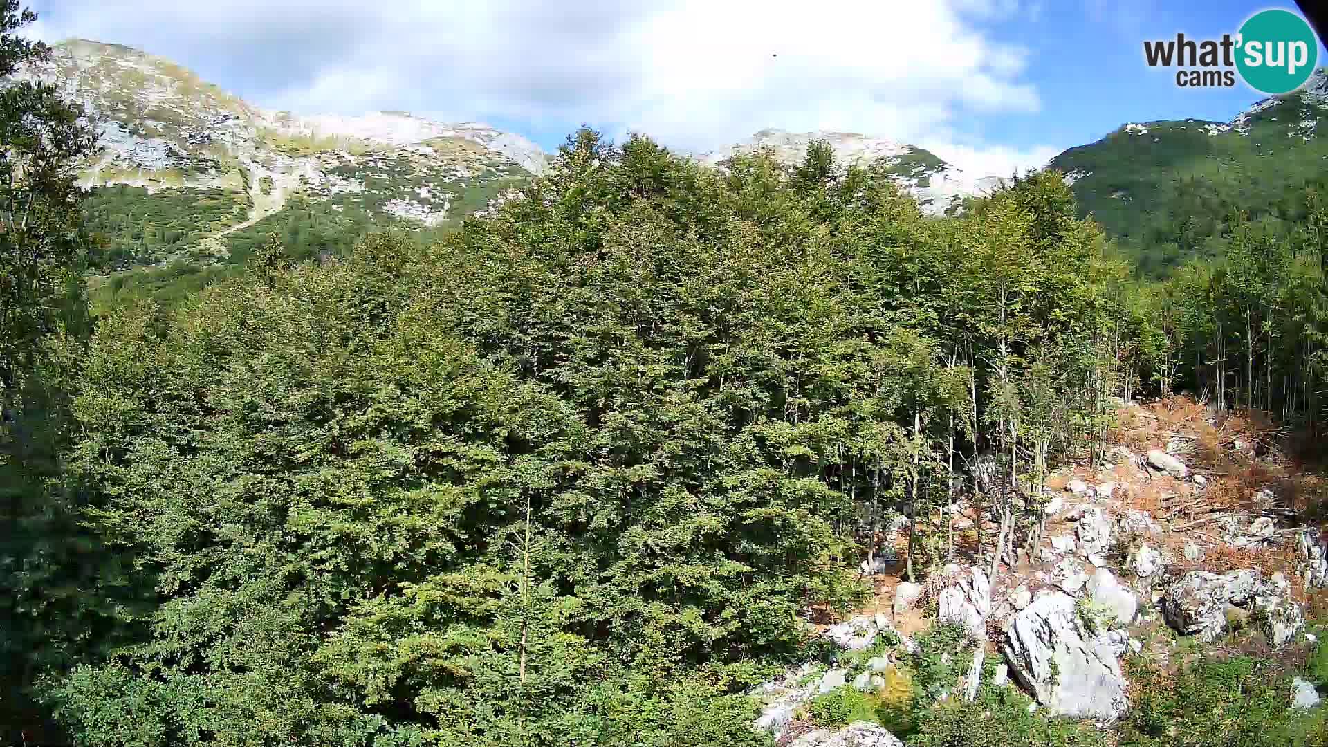 Livecam PLANINA RAZOR (1315) | vue sur Vogel et Globoko