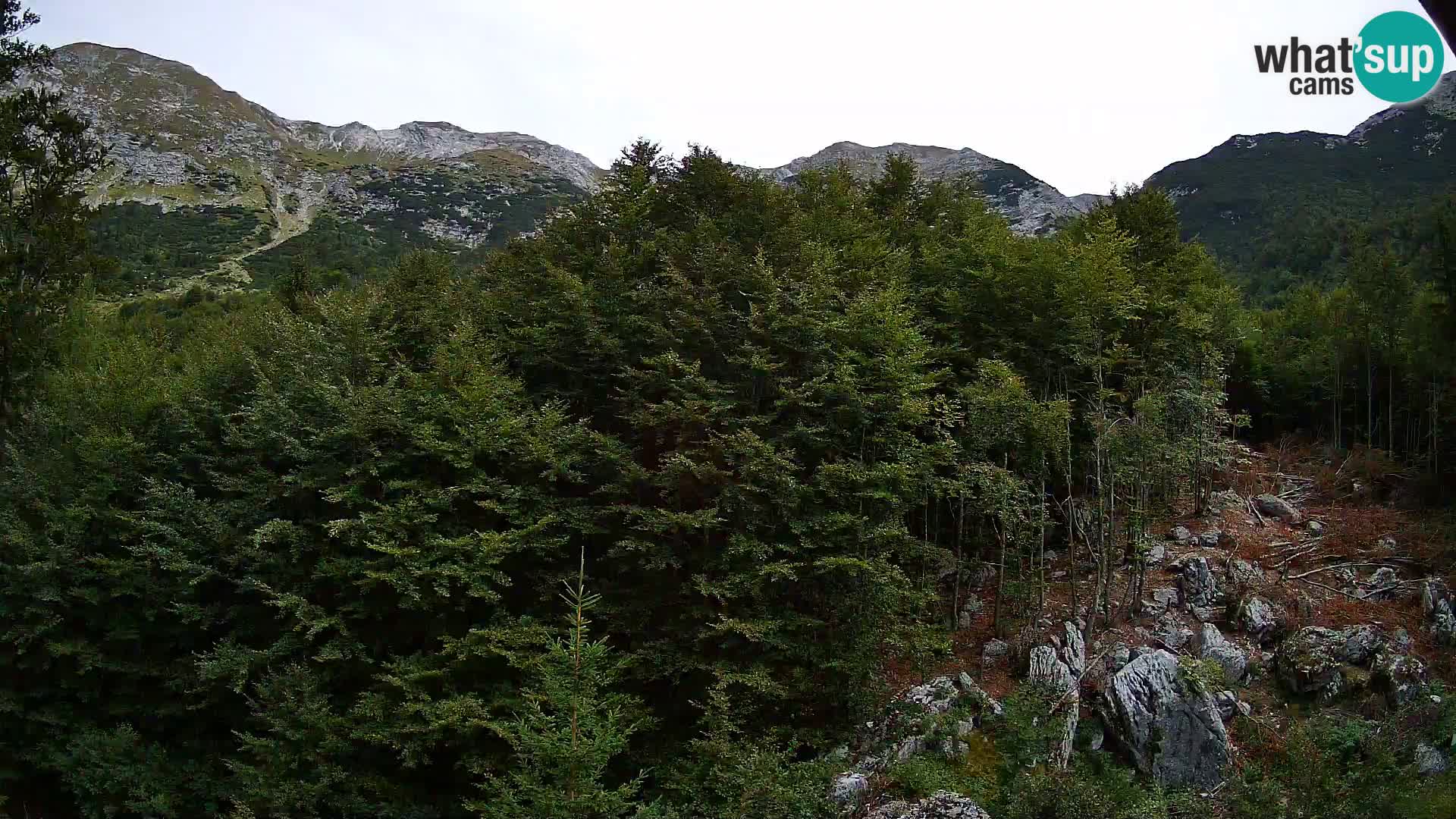 Livecam PLANINA RAZOR (1315) | vue sur Vogel et Globoko