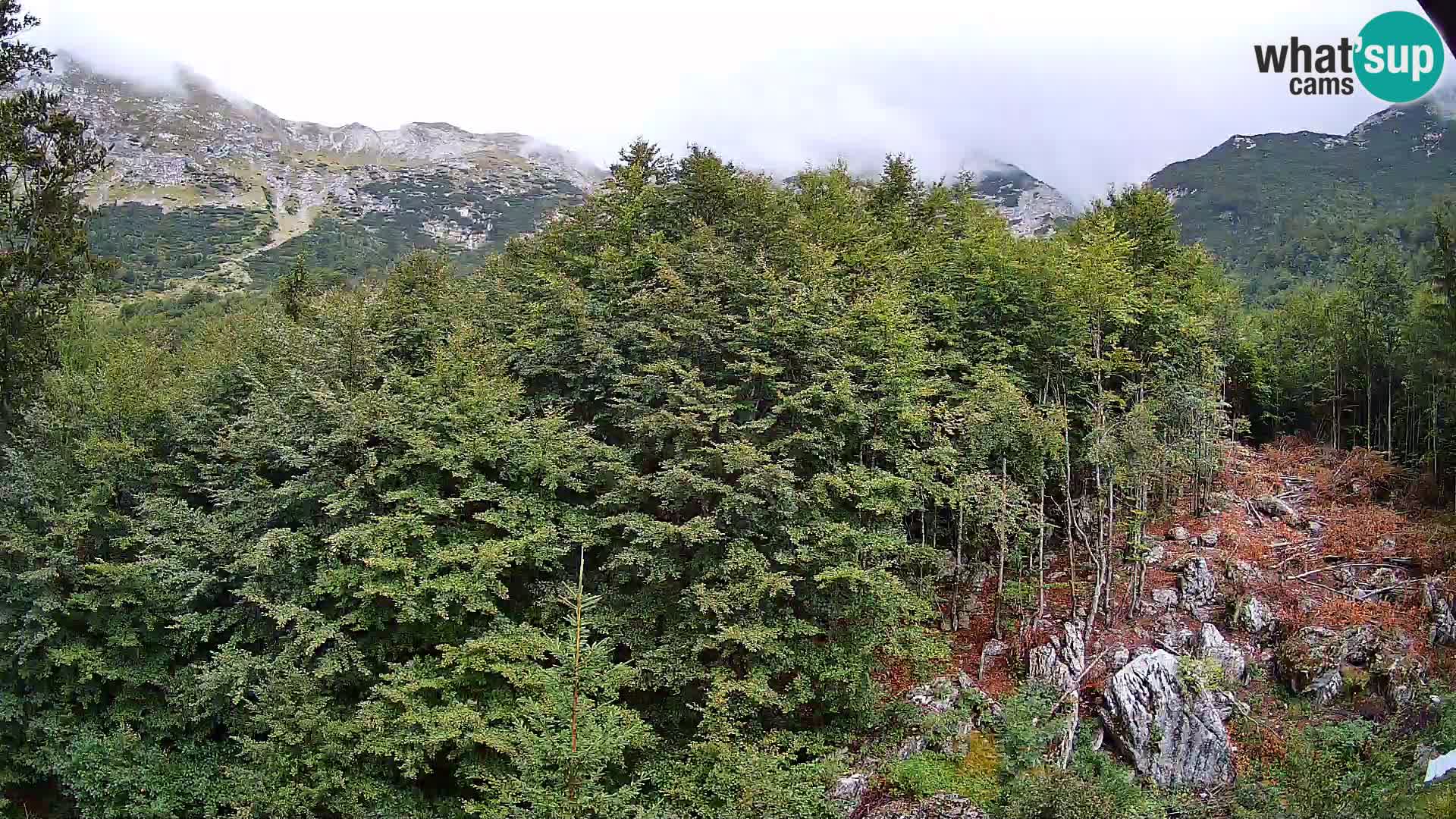 Webcam PLANINA RAZOR (1315) | Blick auf Vogel und Globoko