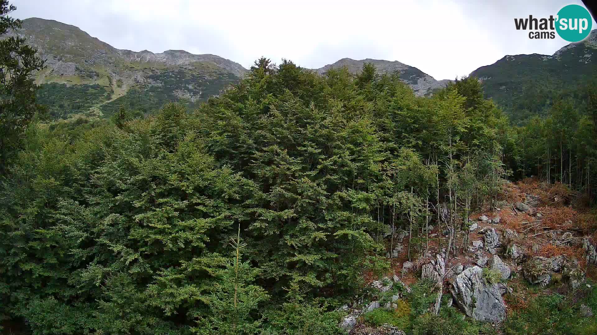 Webcam PLANINA RAZOR (1315) | Blick auf Vogel und Globoko