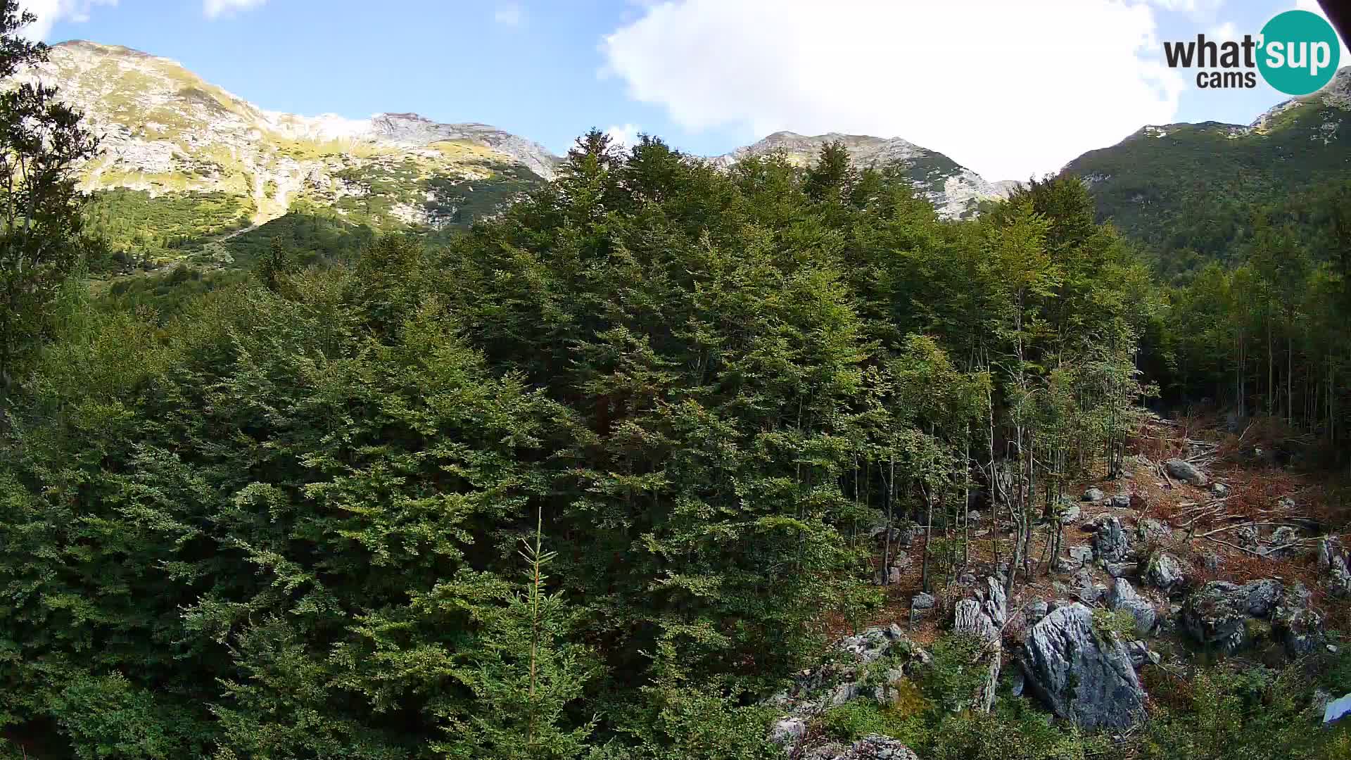 PLANINA RAZOR web kamera (1315) | pogled na Vogel i Globoko