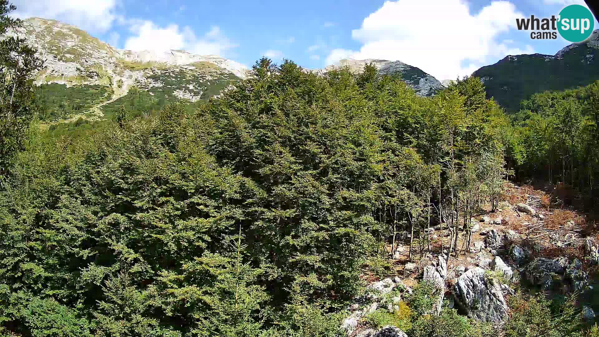 PLANINA RAZOR webcam (1315) | view to Vogel and Globoko