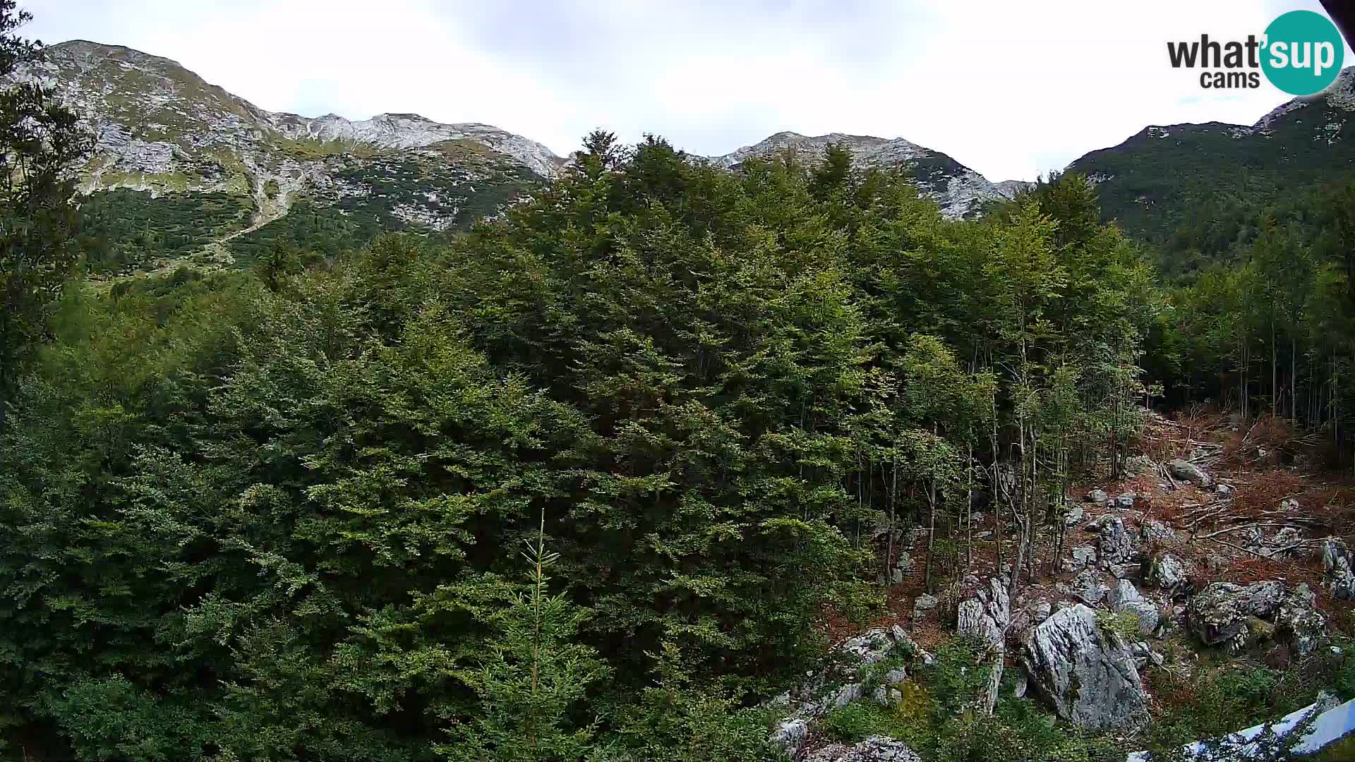 Cámara web PLANINA RAZOR (1315) | vista a Vogel y Globoko