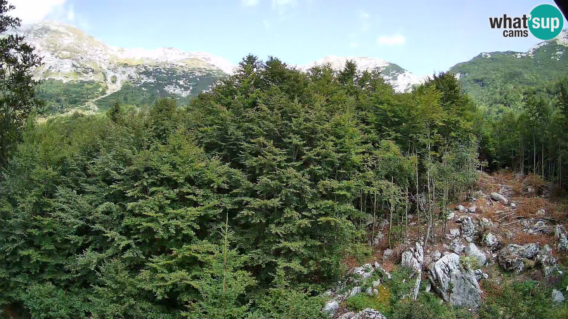 PLANINA RAZOR web kamera (1315) | pogled na Vogel i Globoko