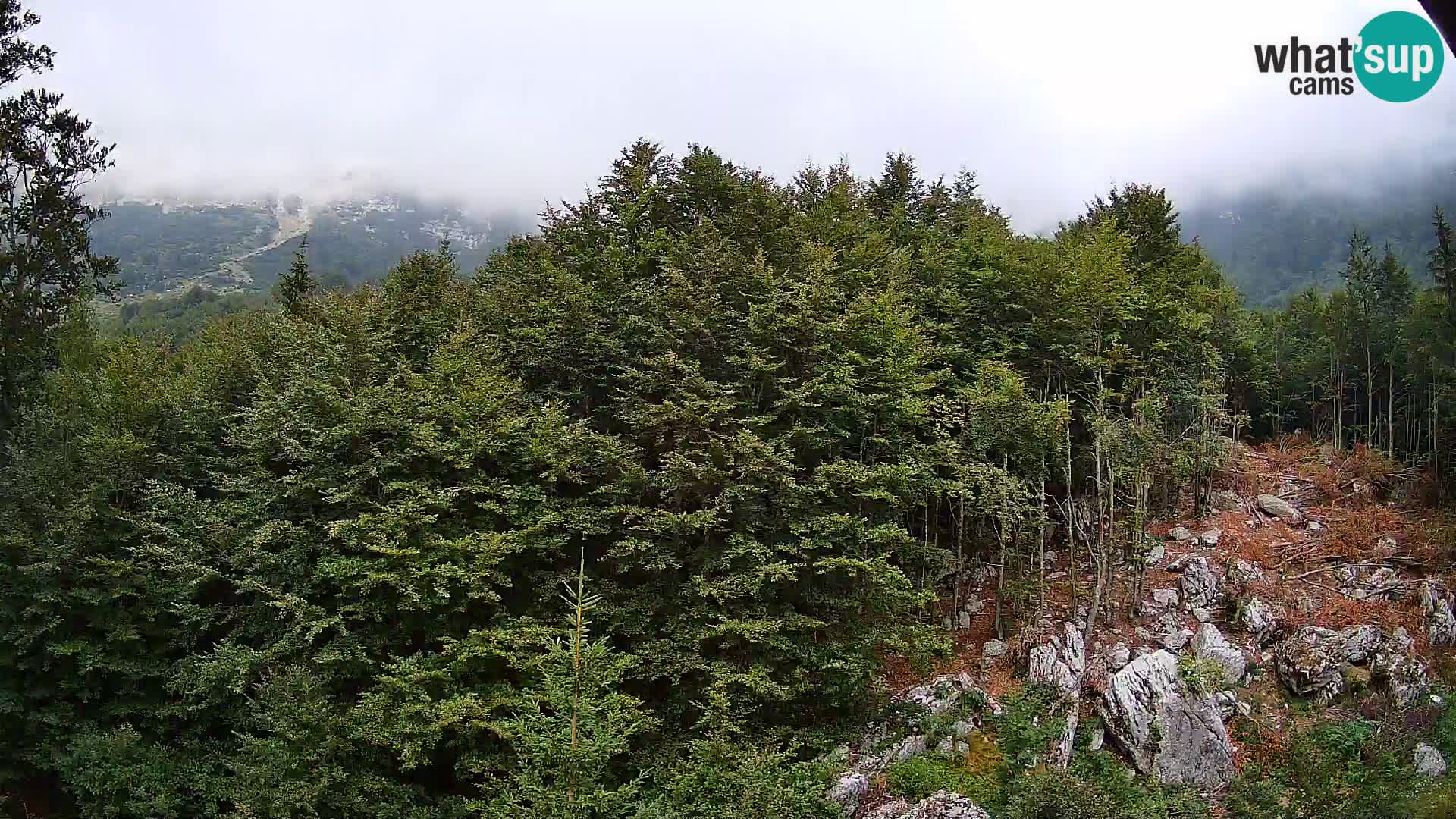 PLANINA RAZOR Live Cam (1315) | vista su Vogel e Globoko