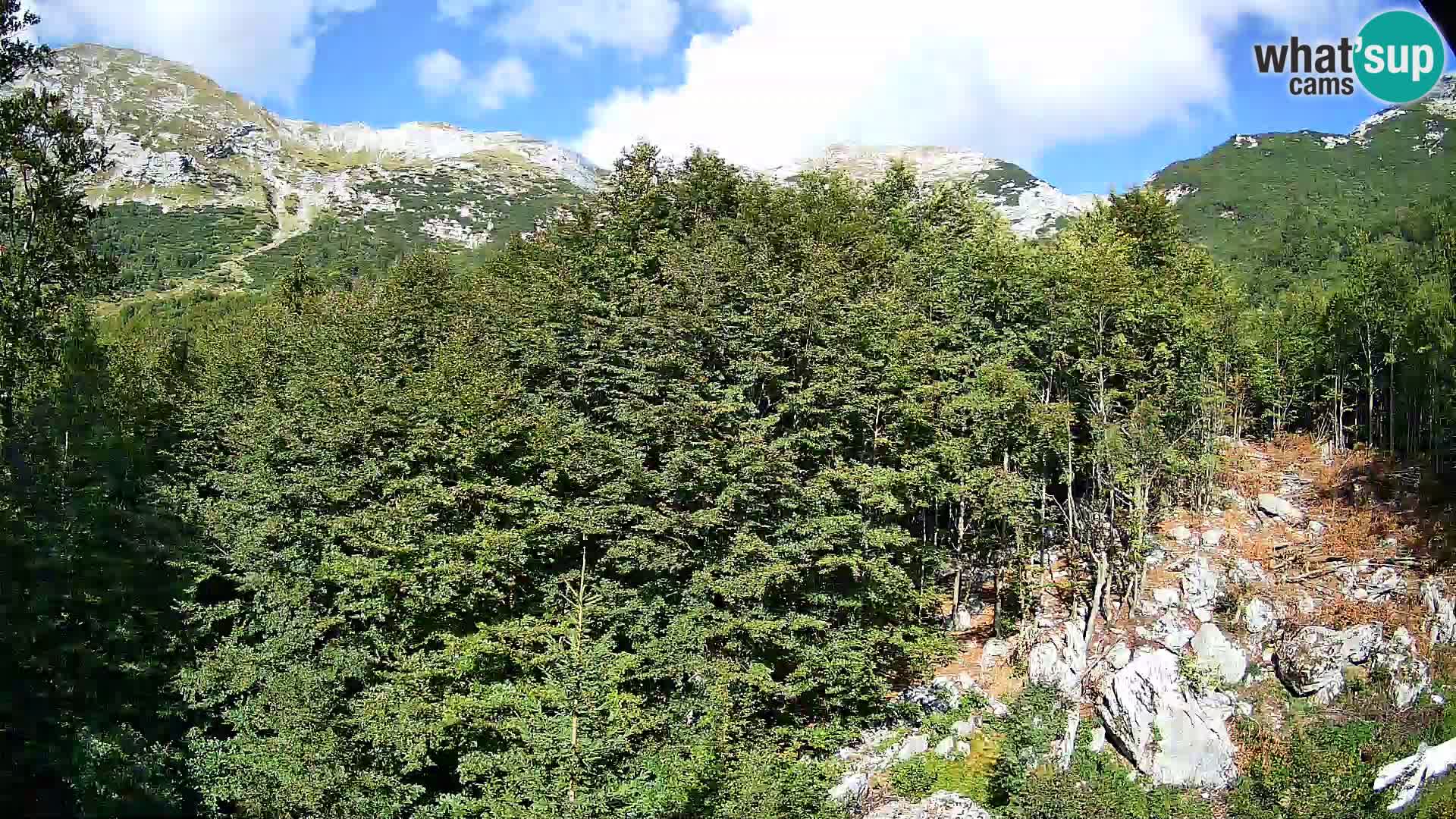 Livecam PLANINA RAZOR (1315) | vue sur Vogel et Globoko