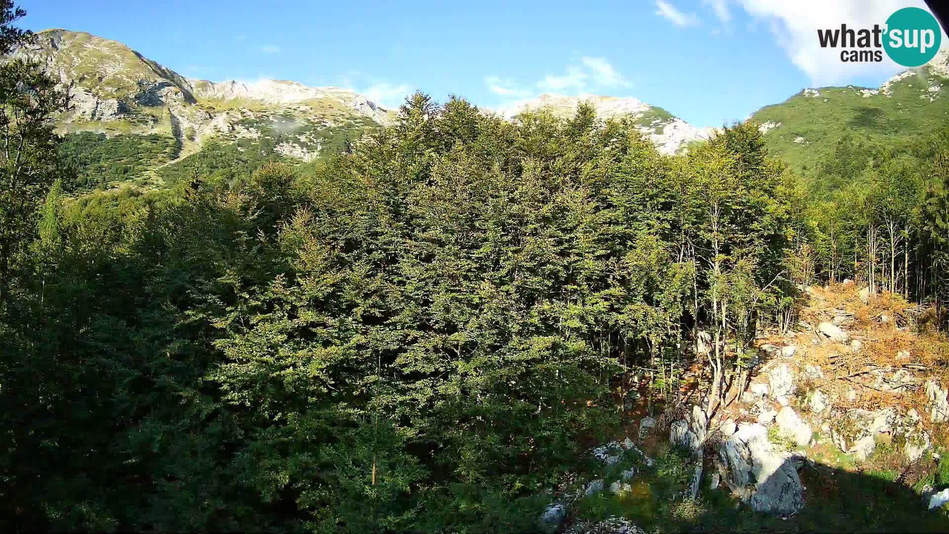 Webcam PLANINA RAZOR (1315) | Blick auf Vogel und Globoko