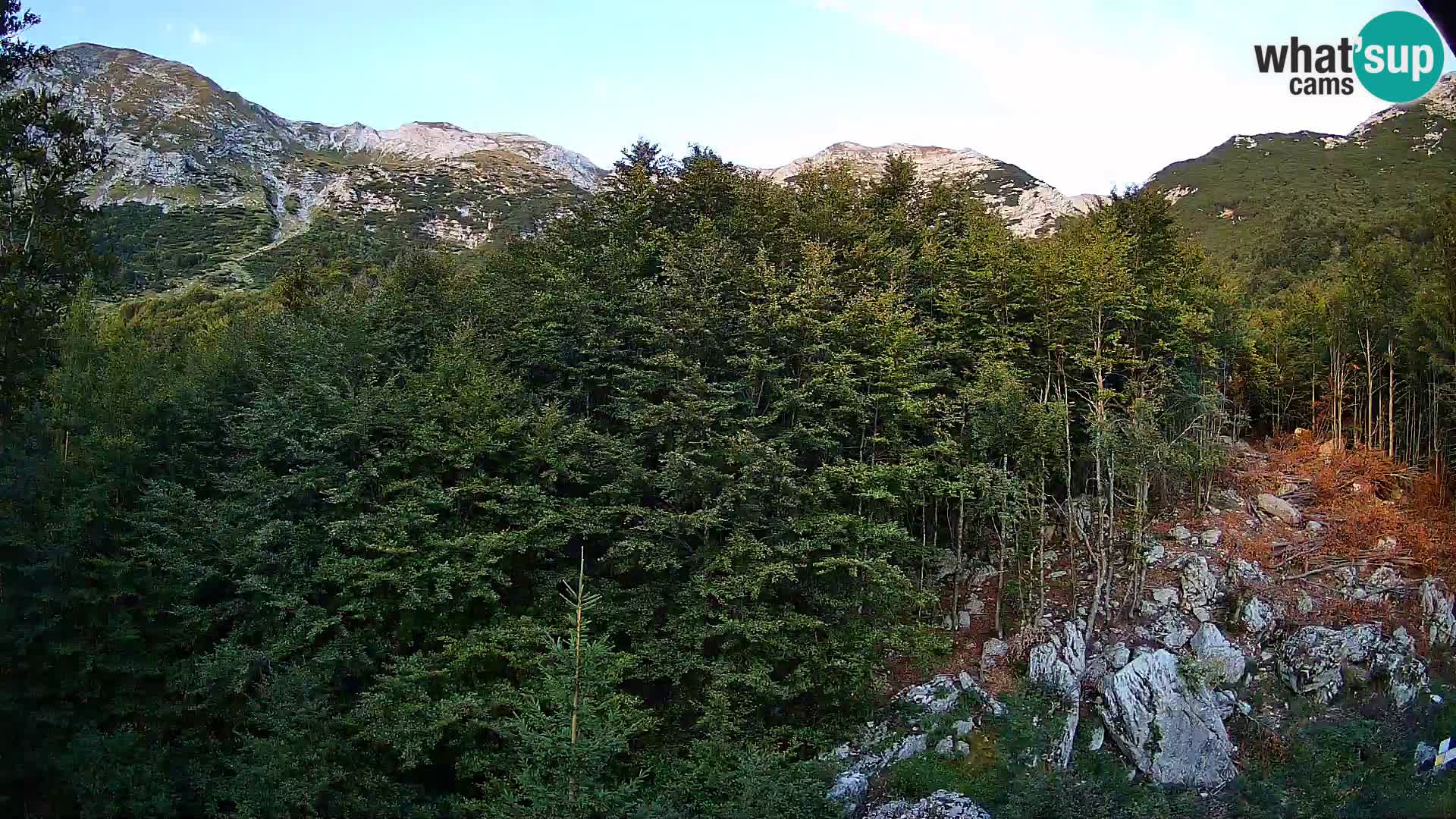 PLANINA RAZOR Live Cam (1315) | vista su Vogel e Globoko