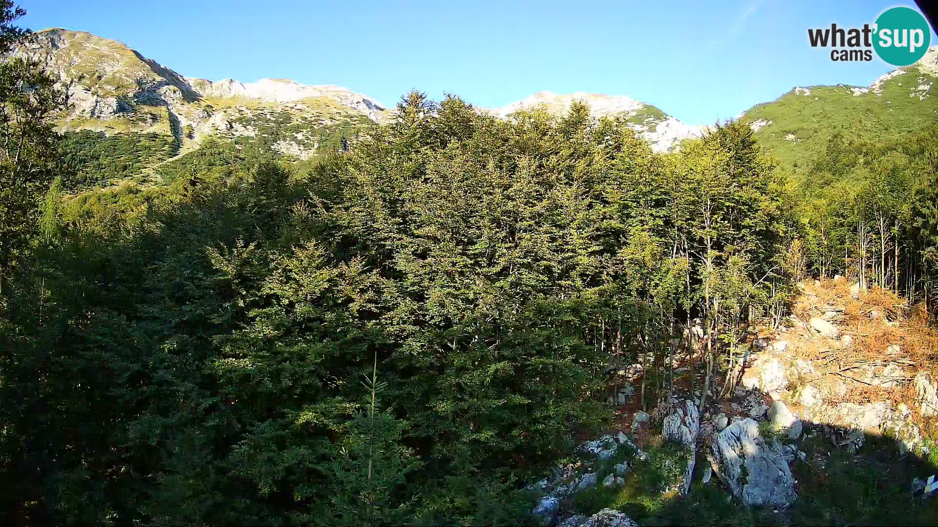 PLANINA RAZOR kamera (1315) | pogled na Vogel in Globoko