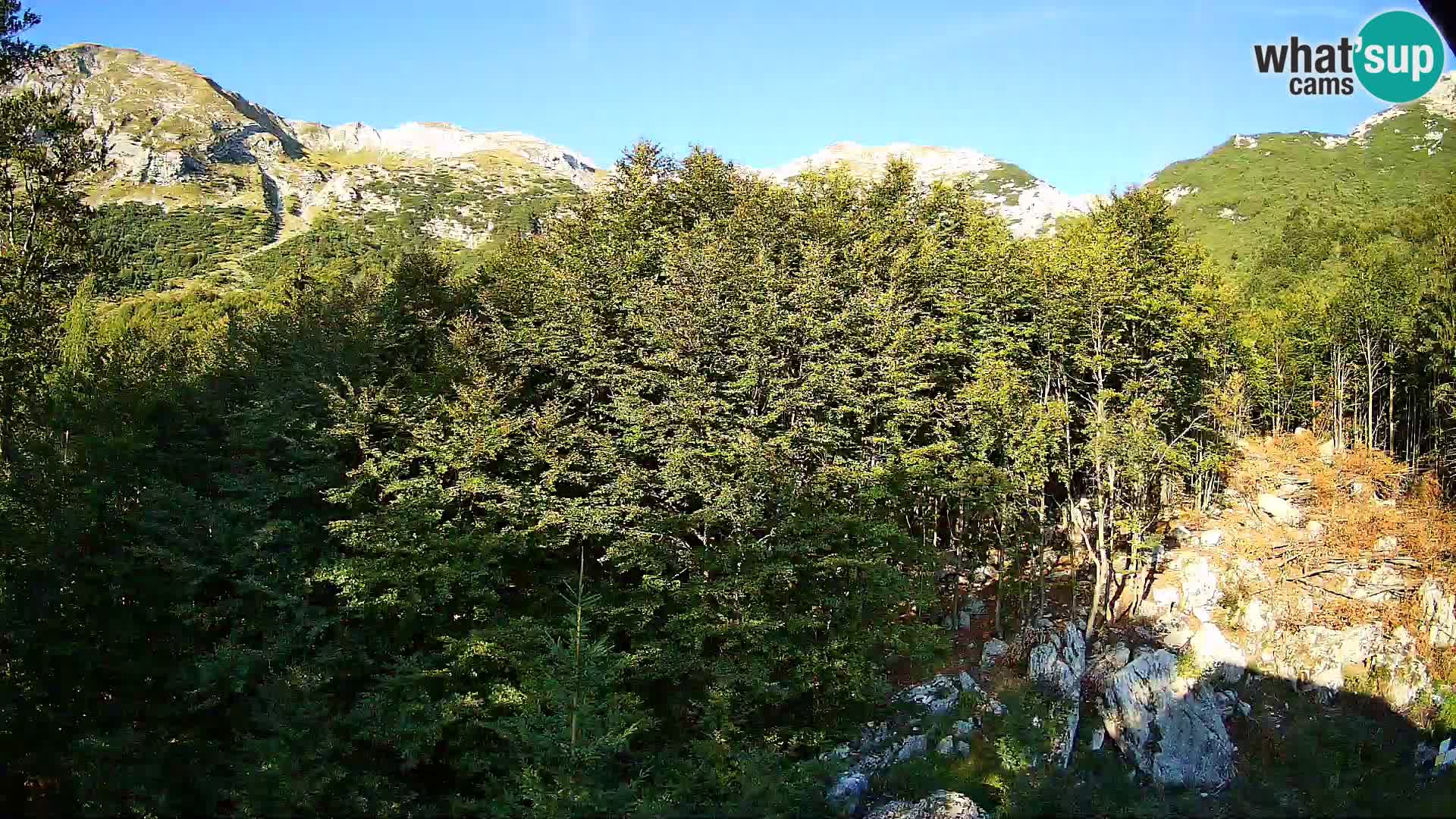 PLANINA RAZOR kamera (1315) | pogled na Vogel in Globoko