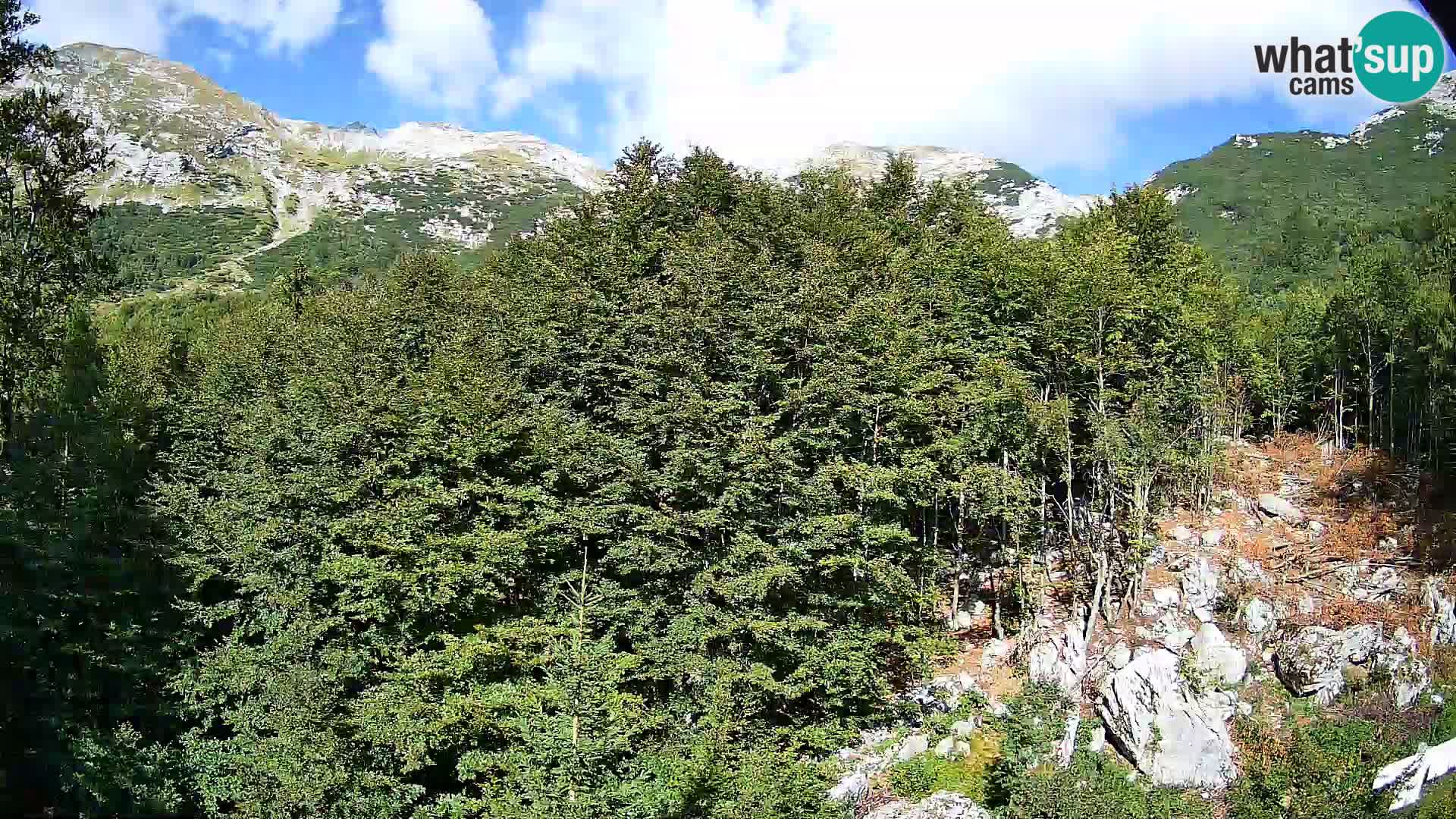 PLANINA RAZOR Live Cam (1315) | vista su Vogel e Globoko