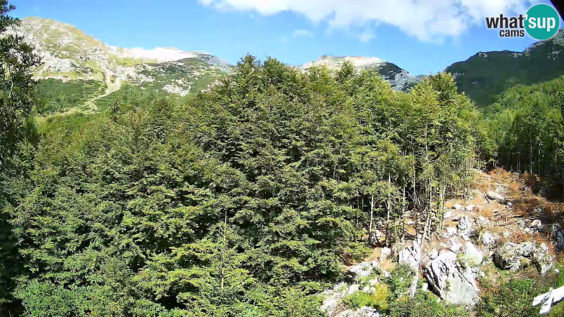 Cámara web PLANINA RAZOR (1315) | vista a Vogel y Globoko