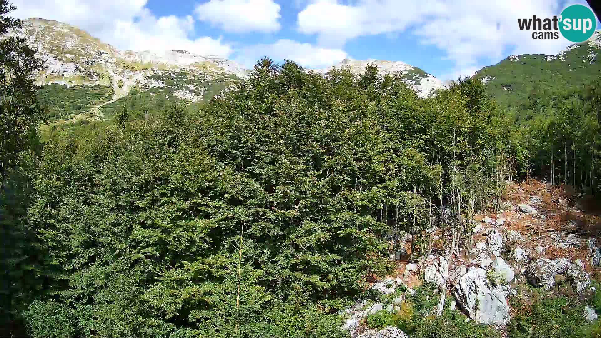 Webcam PLANINA RAZOR (1315) | Blick auf Vogel und Globoko