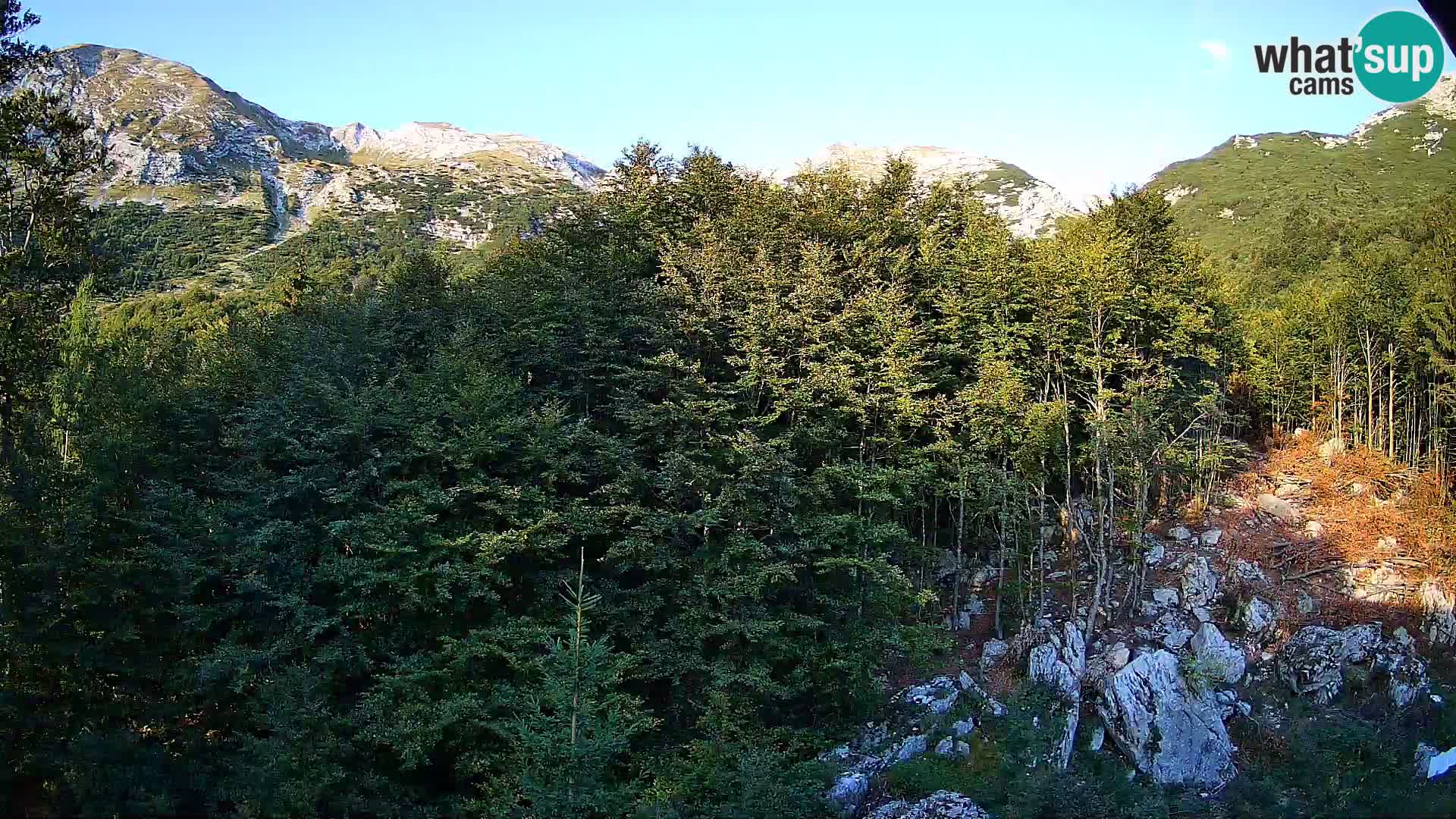 PLANINA RAZOR webcam (1315) | view to Vogel and Globoko
