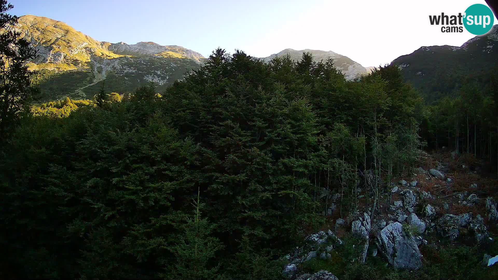 Webcam PLANINA RAZOR (1315) | Blick auf Vogel und Globoko