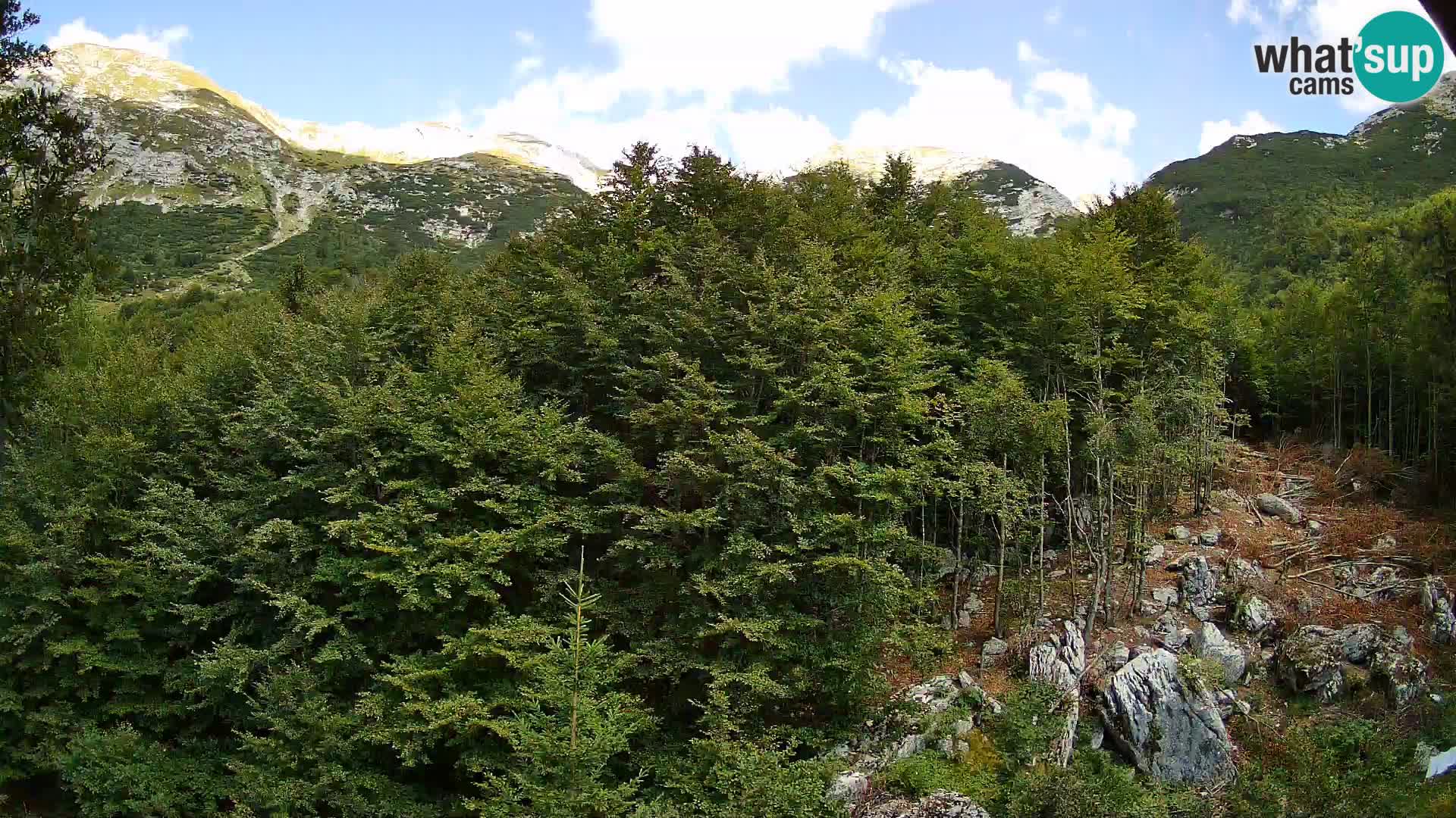 Webcam PLANINA RAZOR (1315) | Blick auf Vogel und Globoko