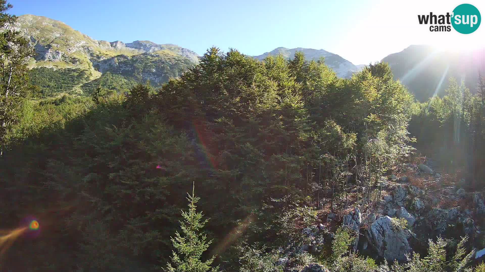Webcam PLANINA RAZOR (1315) | Blick auf Vogel und Globoko