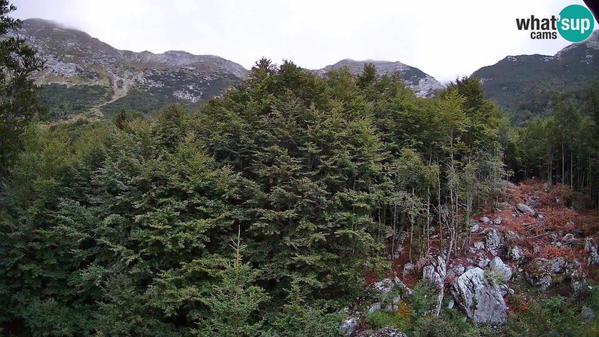 Cámara web PLANINA RAZOR (1315) | vista a Vogel y Globoko