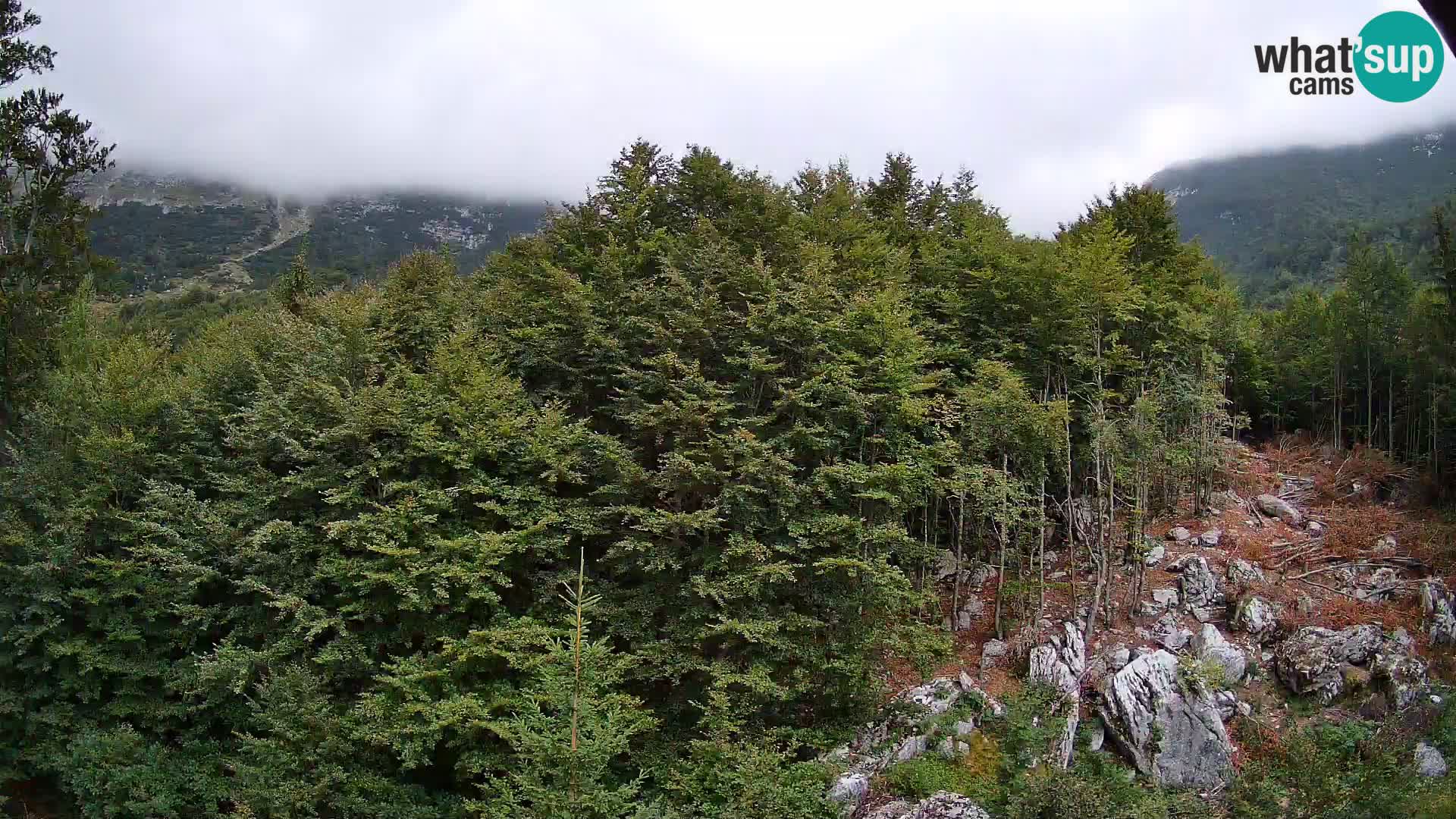 Livecam PLANINA RAZOR (1315) | vue sur Vogel et Globoko