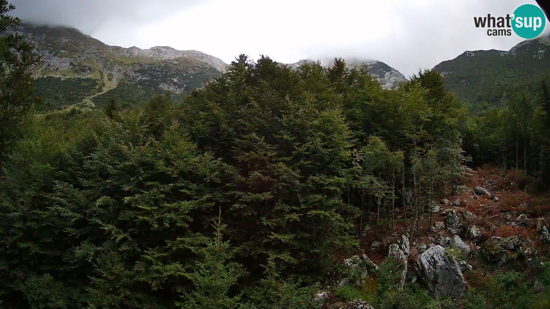 Livecam PLANINA RAZOR (1315) | vue sur Vogel et Globoko