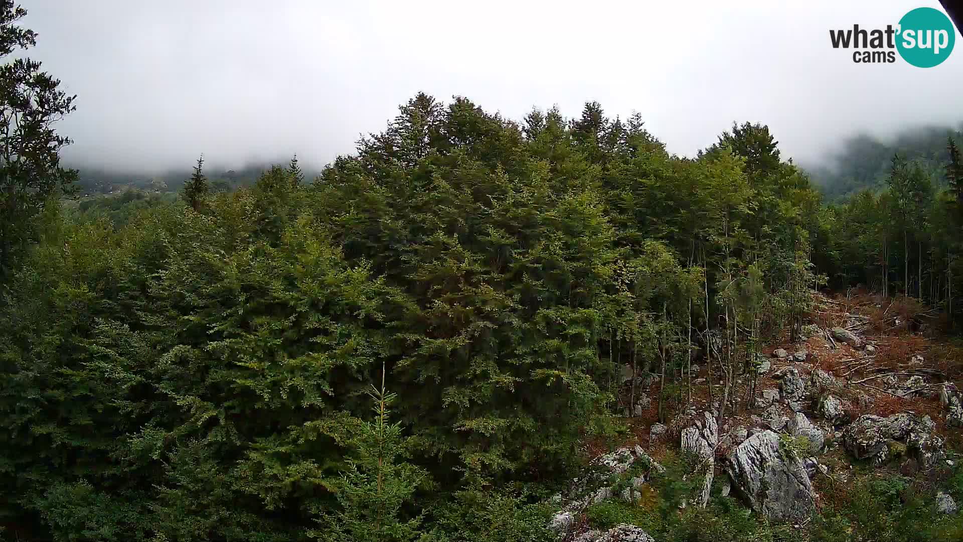 PLANINA RAZOR kamera (1315) | pogled na Vogel in Globoko