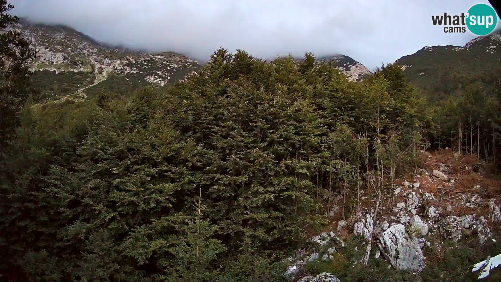 PLANINA RAZOR kamera (1315) | pogled na Vogel in Globoko