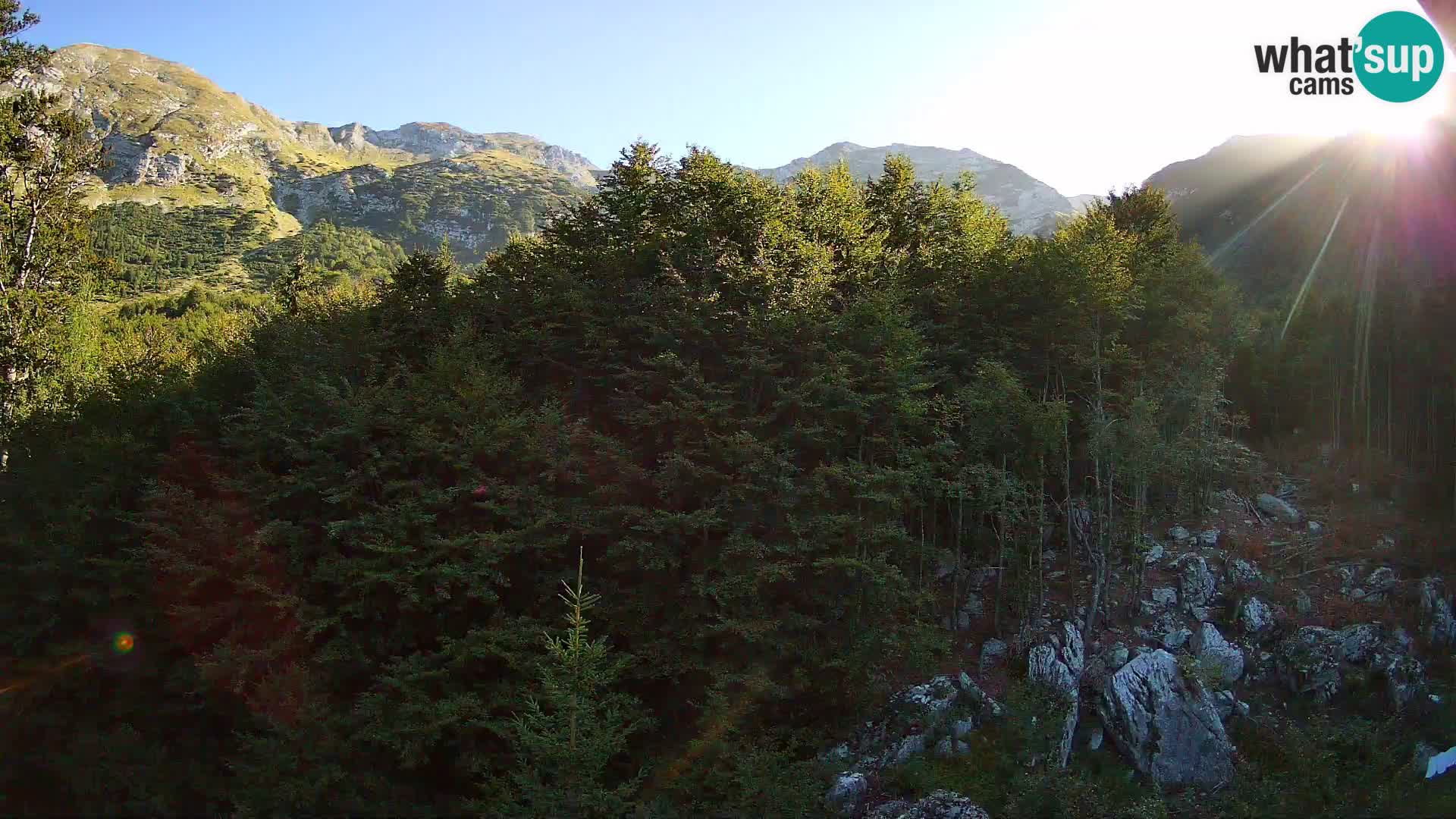 Webcam PLANINA RAZOR (1315) | Blick auf Vogel und Globoko