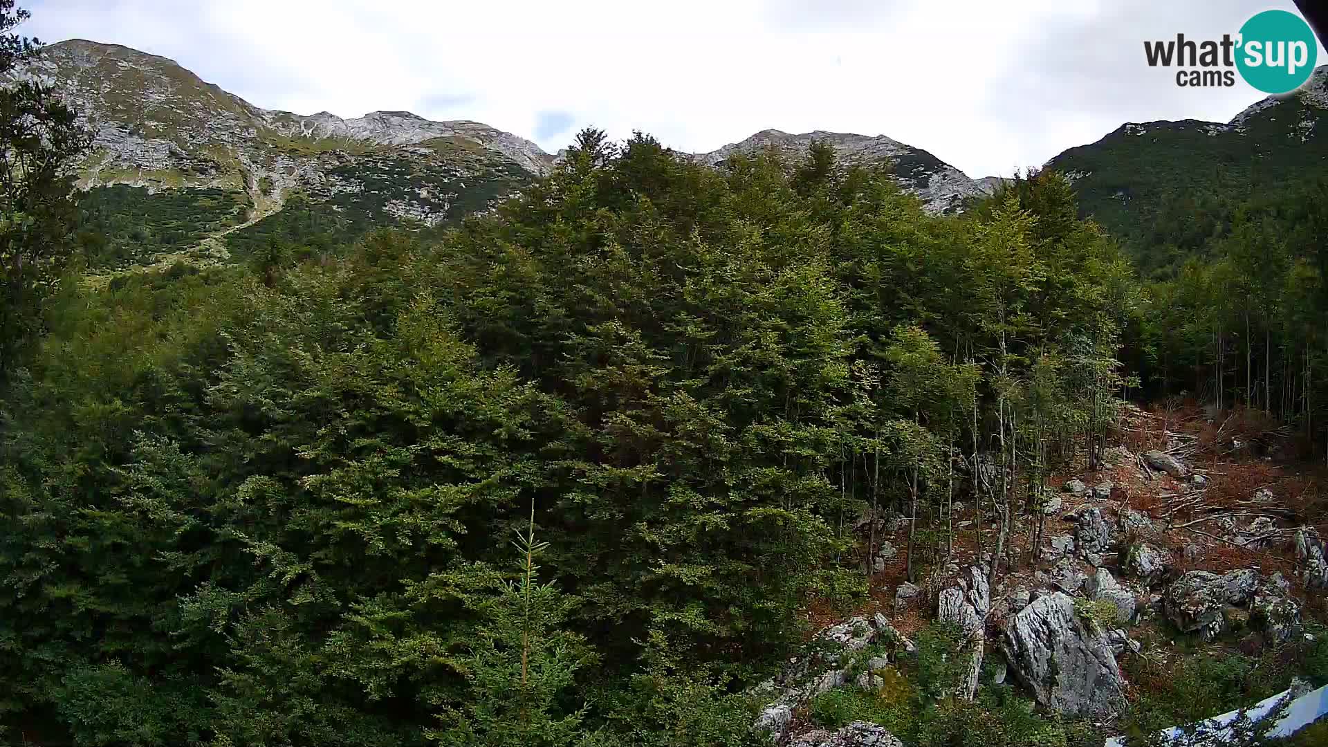 PLANINA RAZOR web kamera (1315) | pogled na Vogel i Globoko