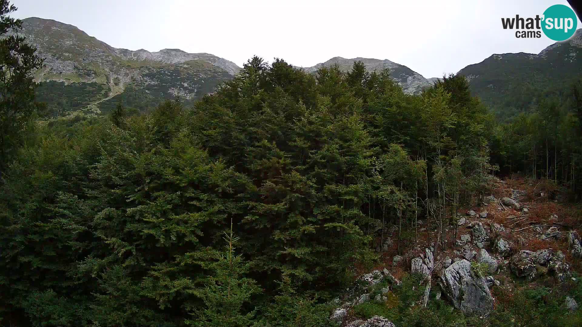 PLANINA RAZOR web kamera (1315) | pogled na Vogel i Globoko