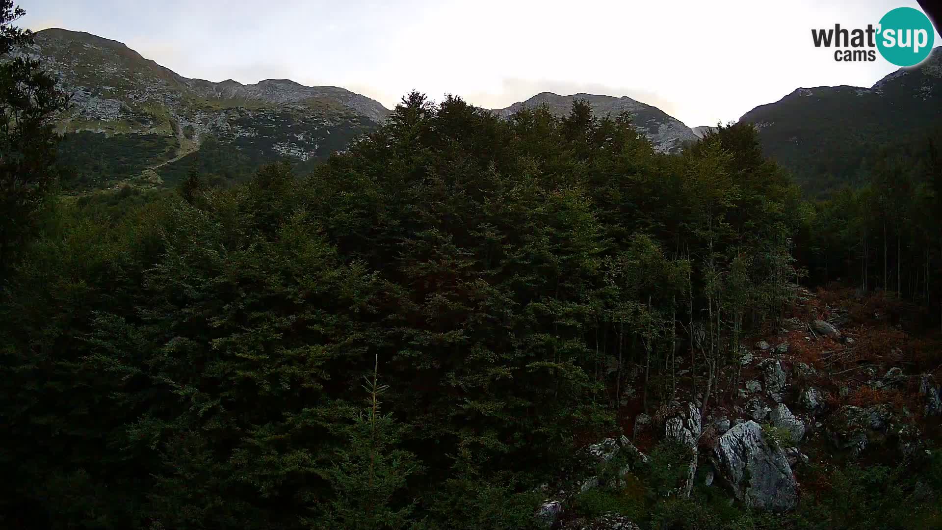 Webcam PLANINA RAZOR (1315) | Blick auf Vogel und Globoko