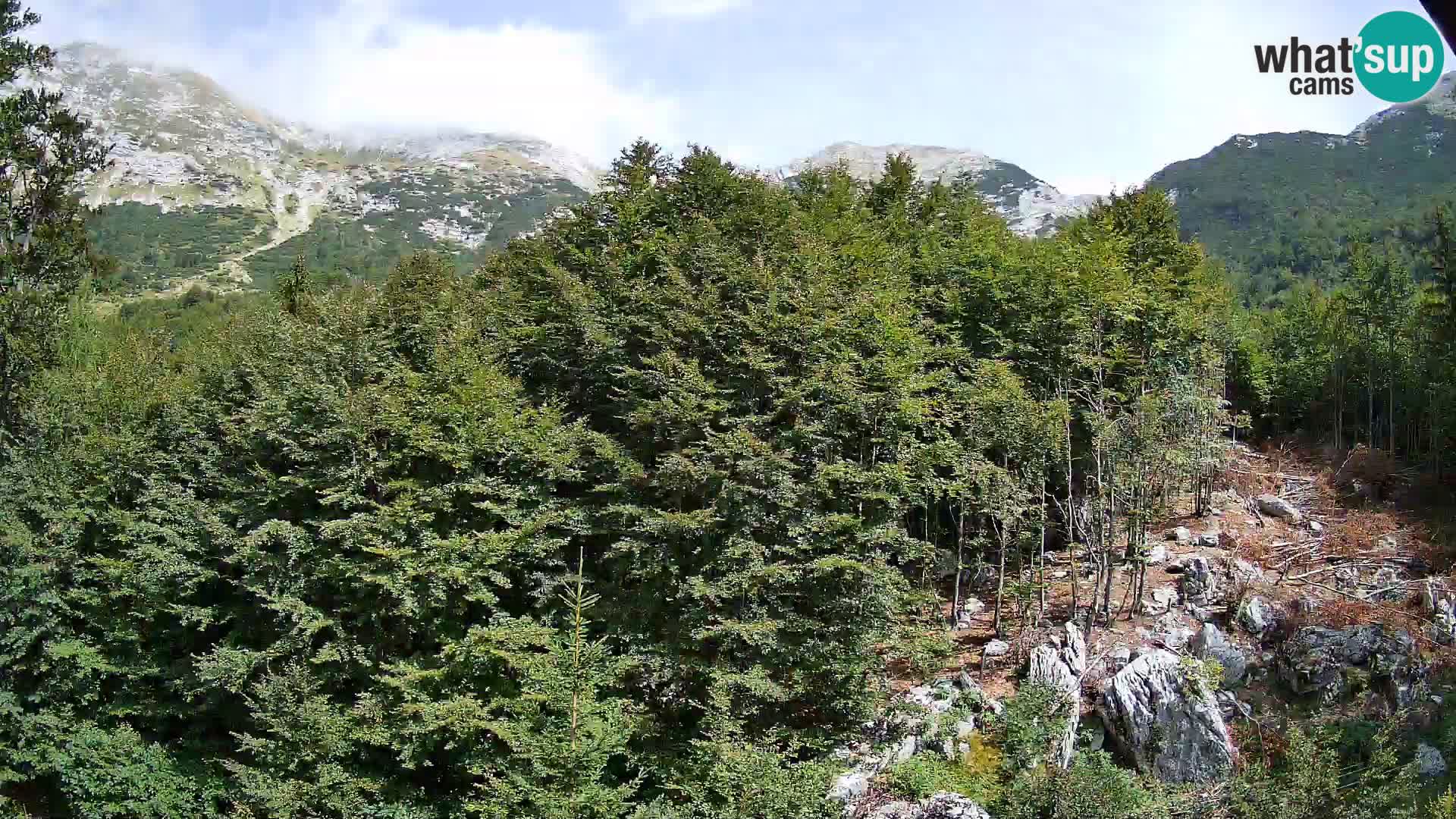 Cámara web PLANINA RAZOR (1315) | vista a Vogel y Globoko