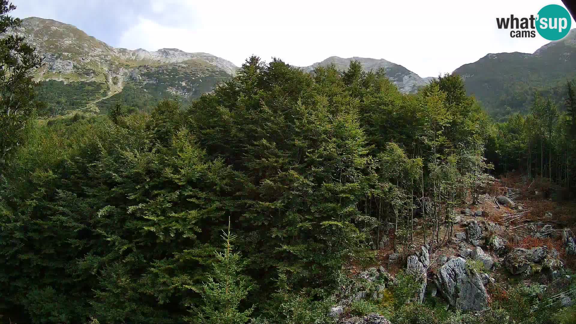PLANINA RAZOR Live Cam (1315) | vista su Vogel e Globoko