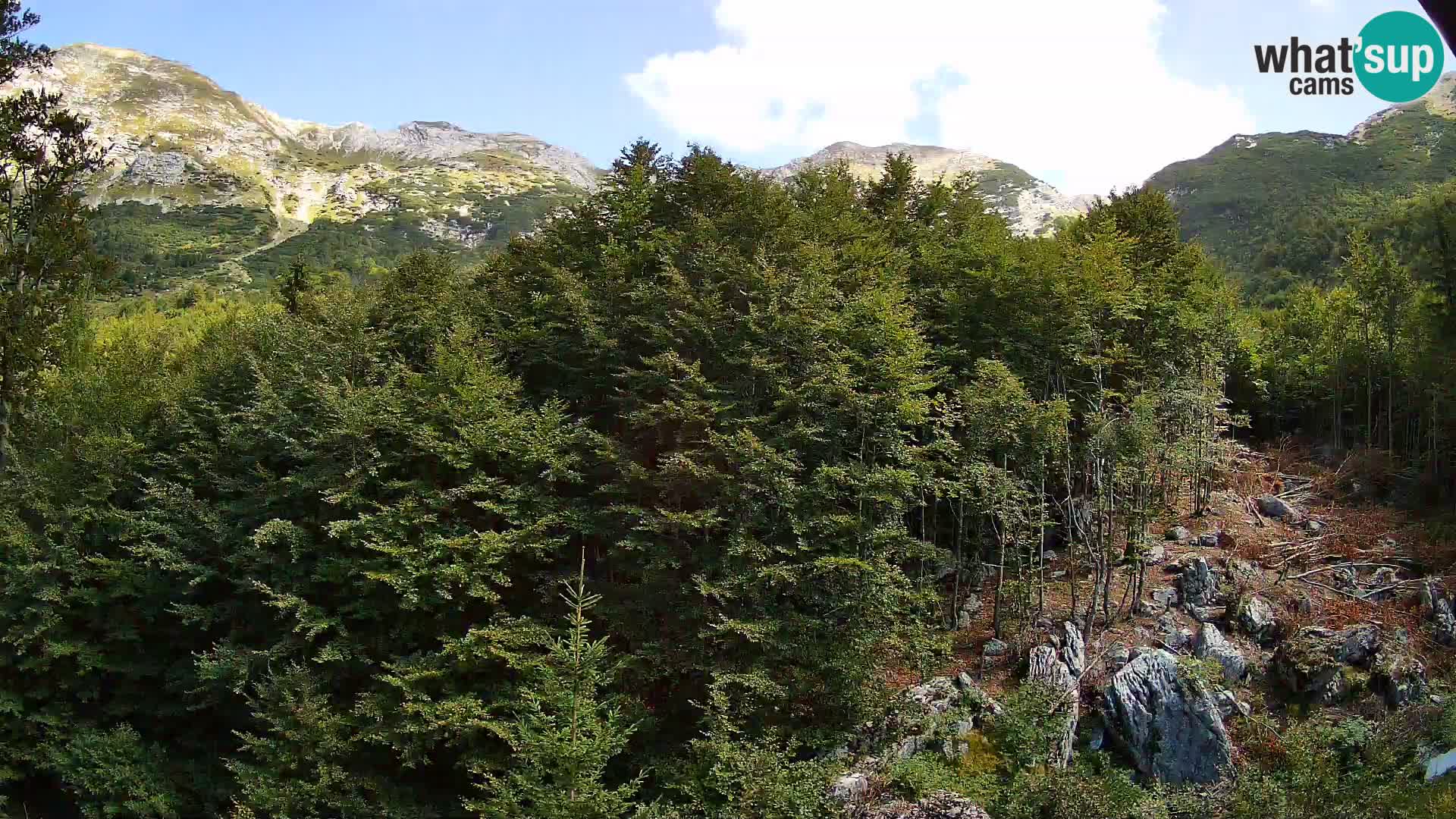 PLANINA RAZOR webcam (1315) | view to Vogel and Globoko