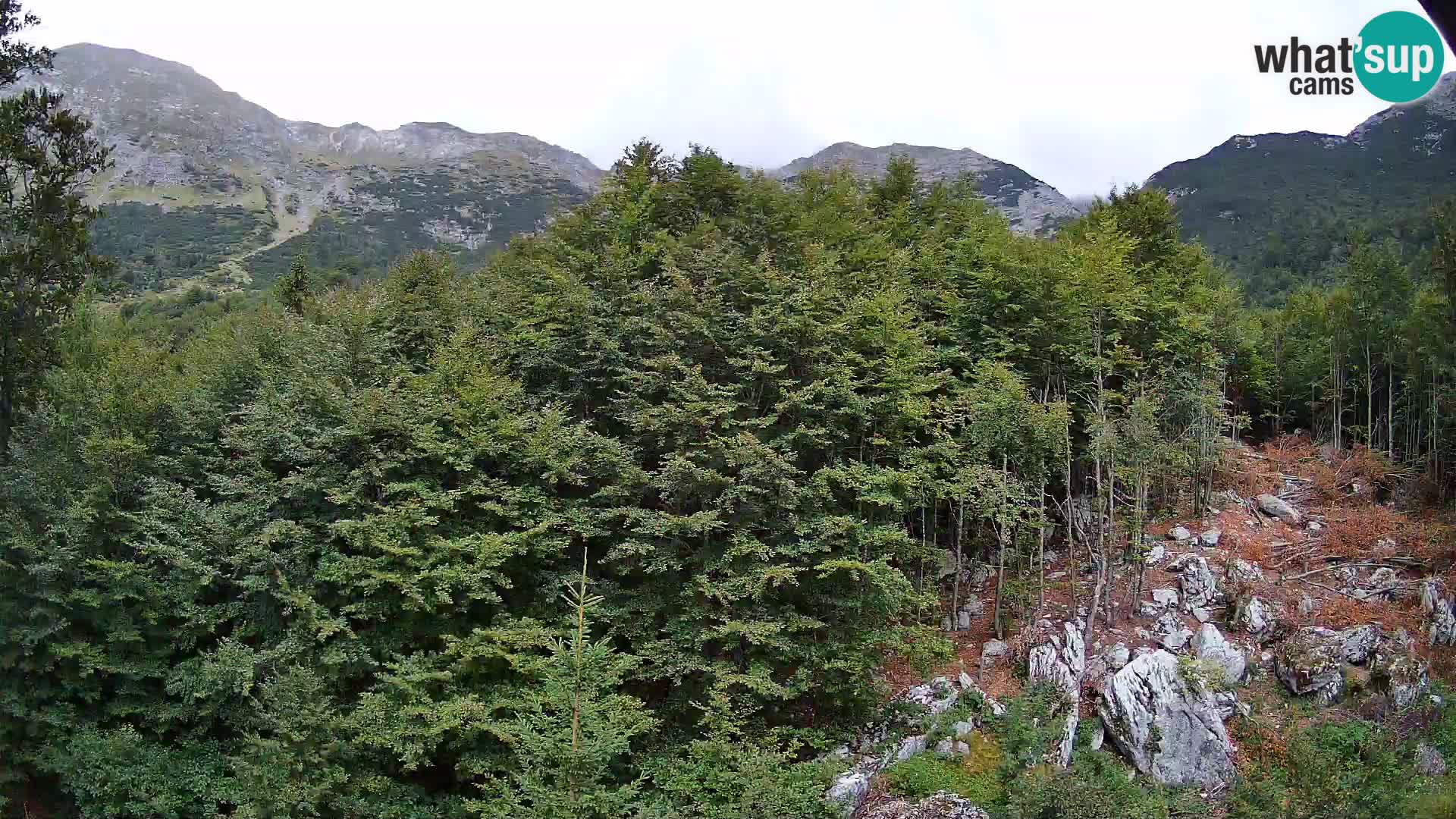 PLANINA RAZOR webcam (1315) | view to Vogel and Globoko