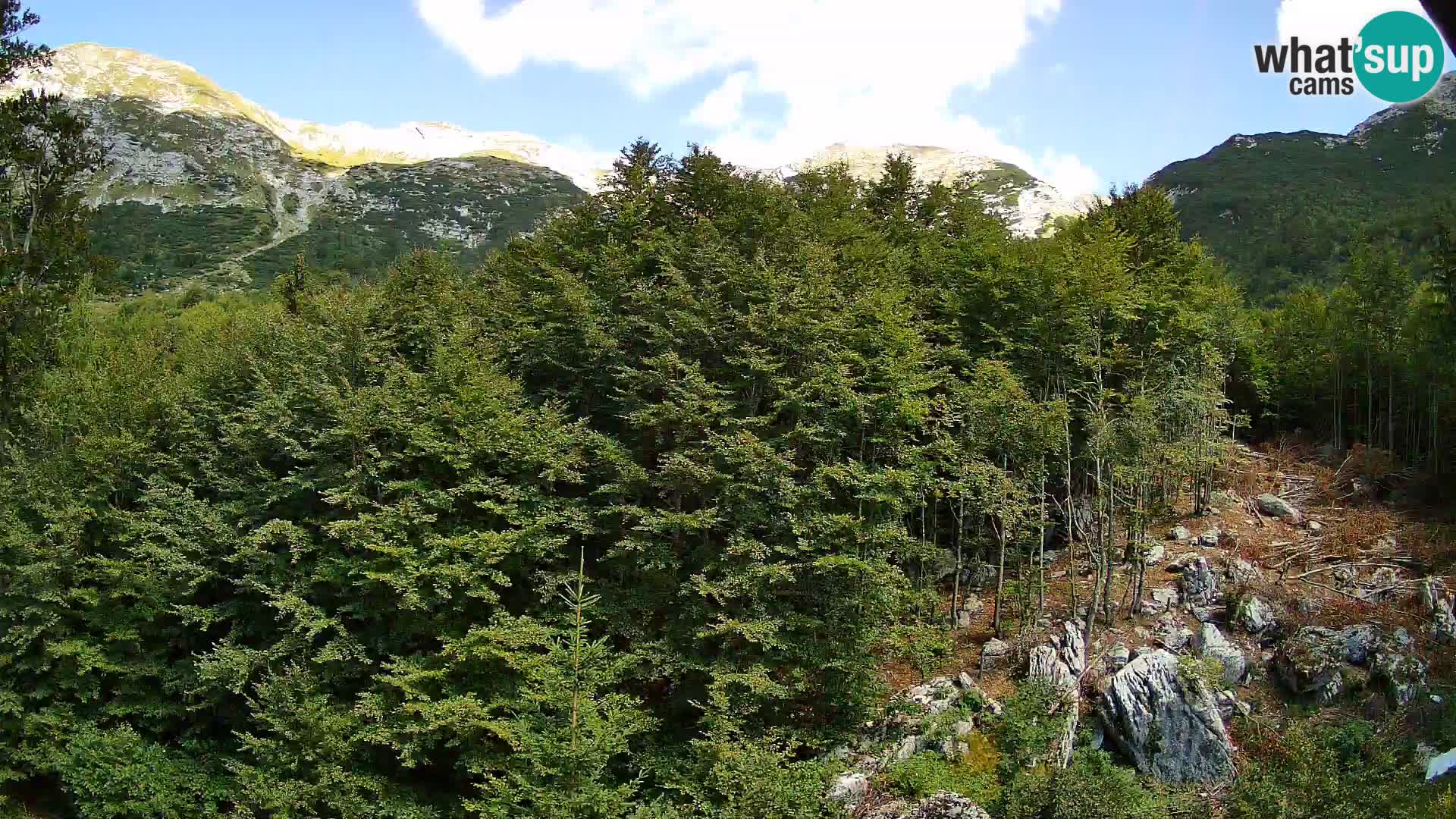 PLANINA RAZOR webcam (1315) | view to Vogel and Globoko