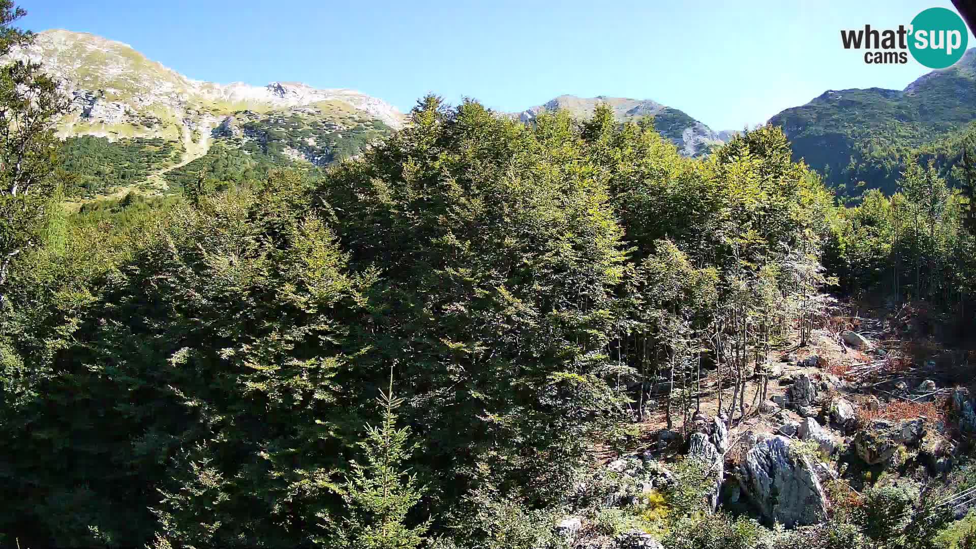 Webcam PLANINA RAZOR (1315) | Blick auf Vogel und Globoko