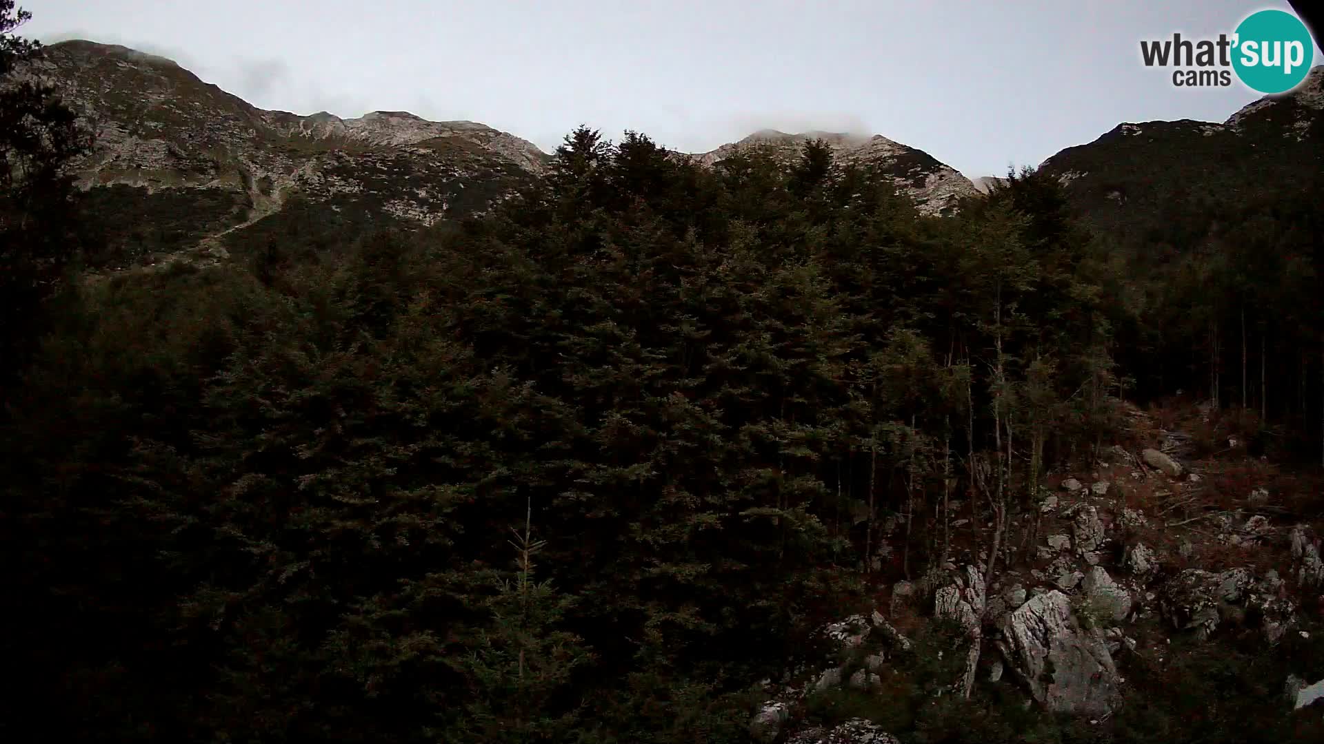 PLANINA RAZOR Live Cam (1315) | vista su Vogel e Globoko