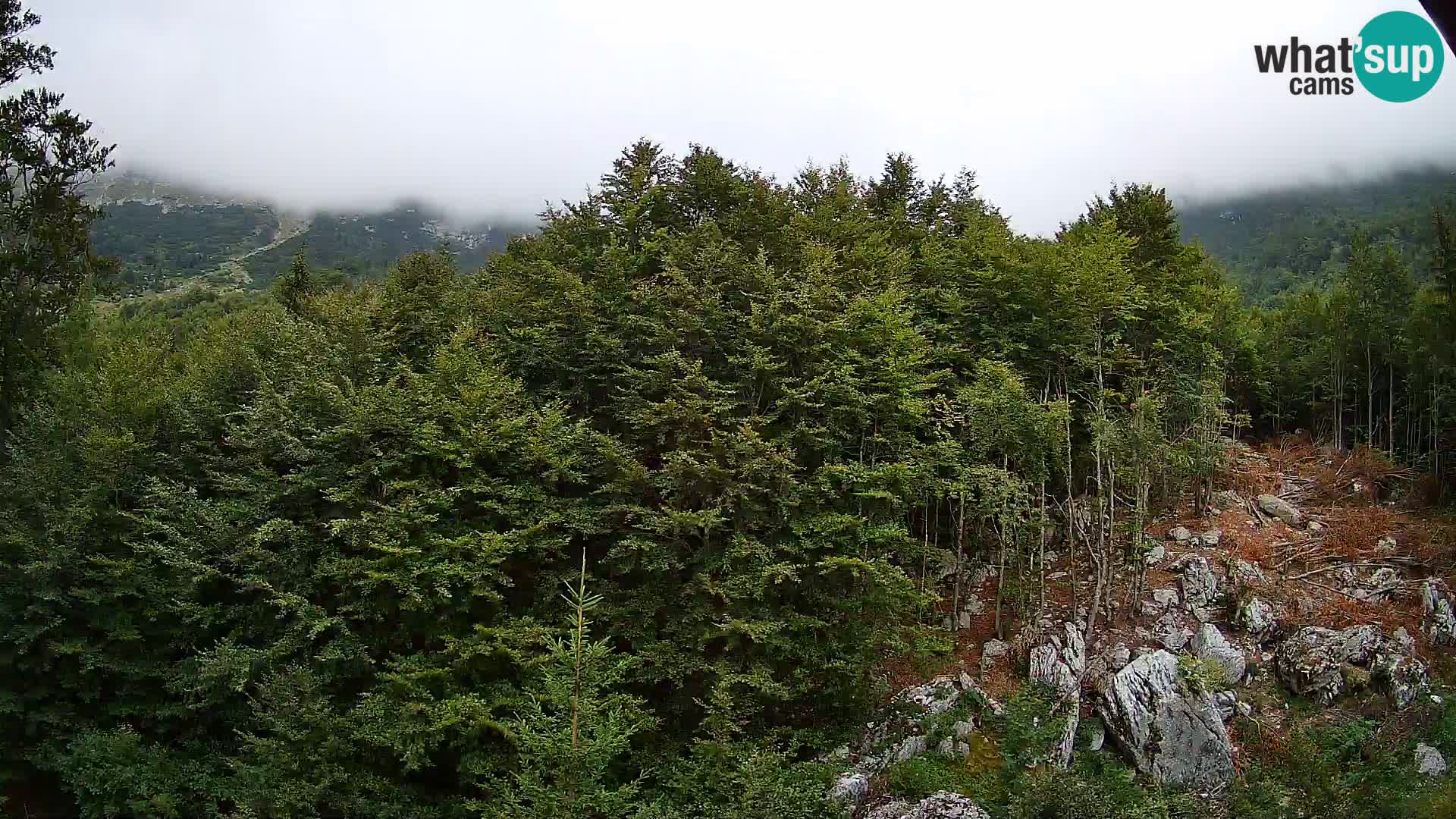 PLANINA RAZOR webcam (1315) | view to Vogel and Globoko