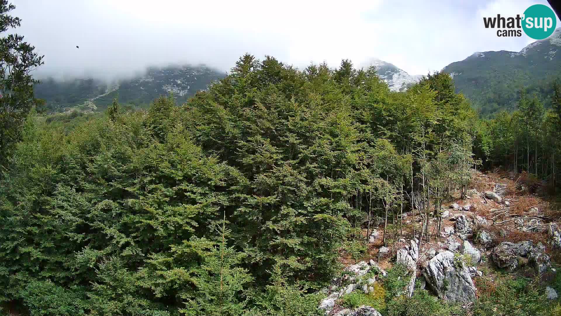 PLANINA RAZOR webcam (1315) | view to Vogel and Globoko