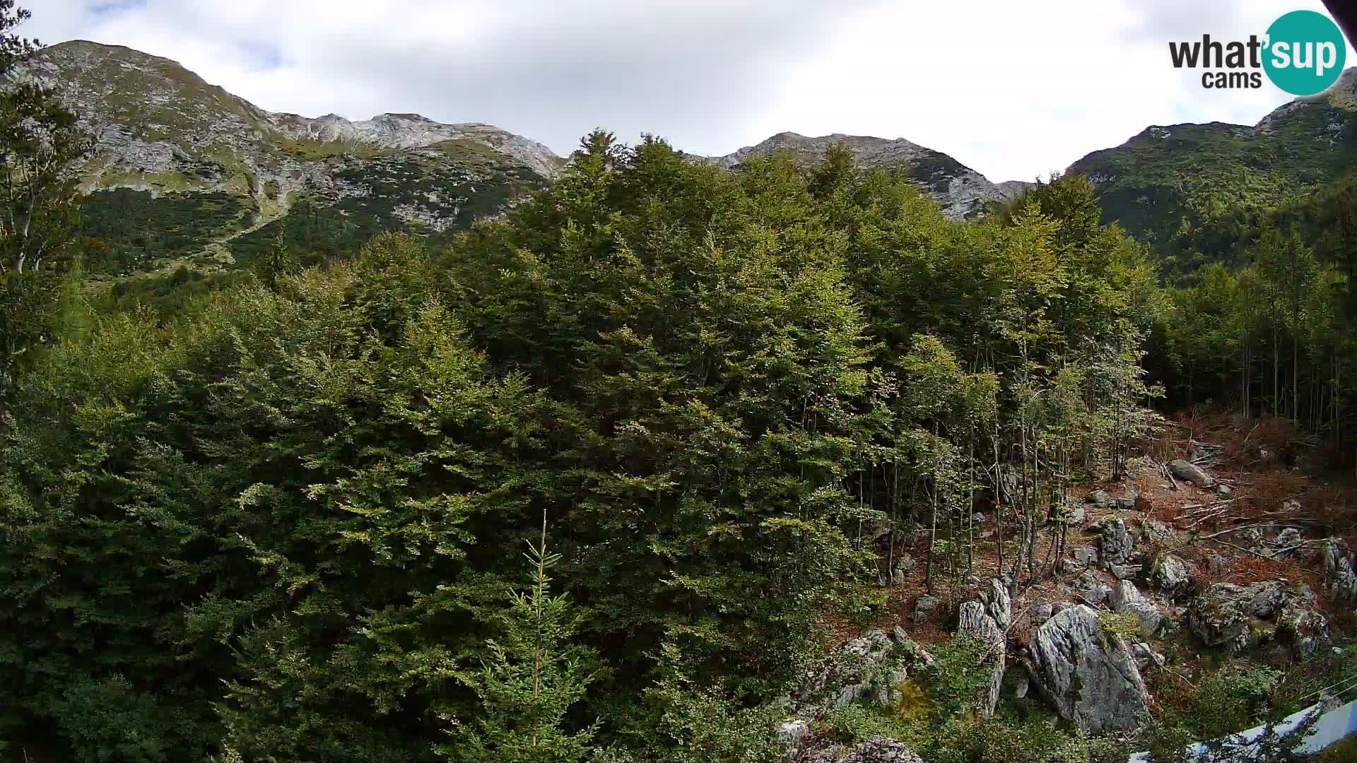 PLANINA RAZOR webcam (1315) | view to Vogel and Globoko